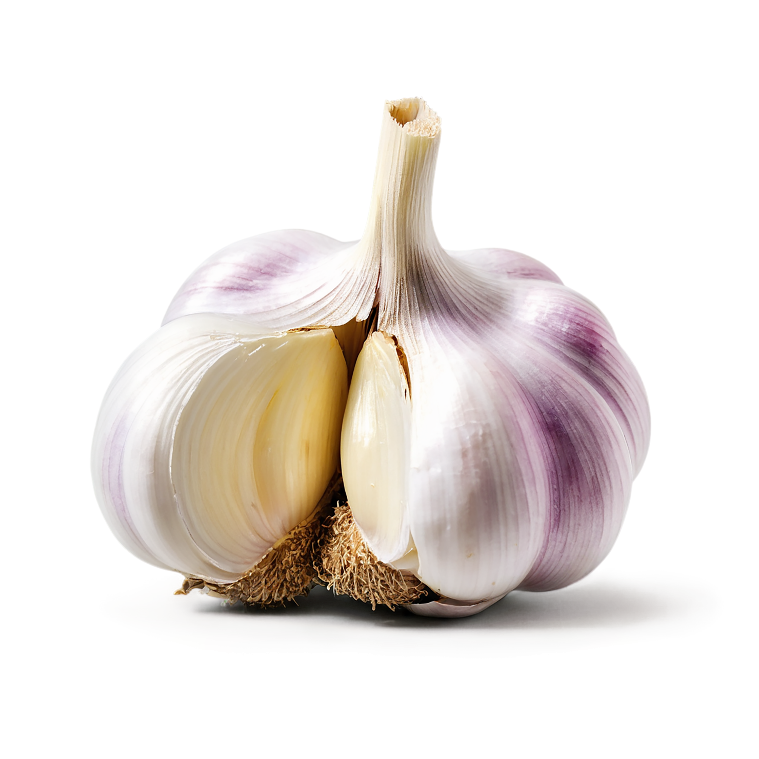 Garlic vegetables isolated on transparent background #11402