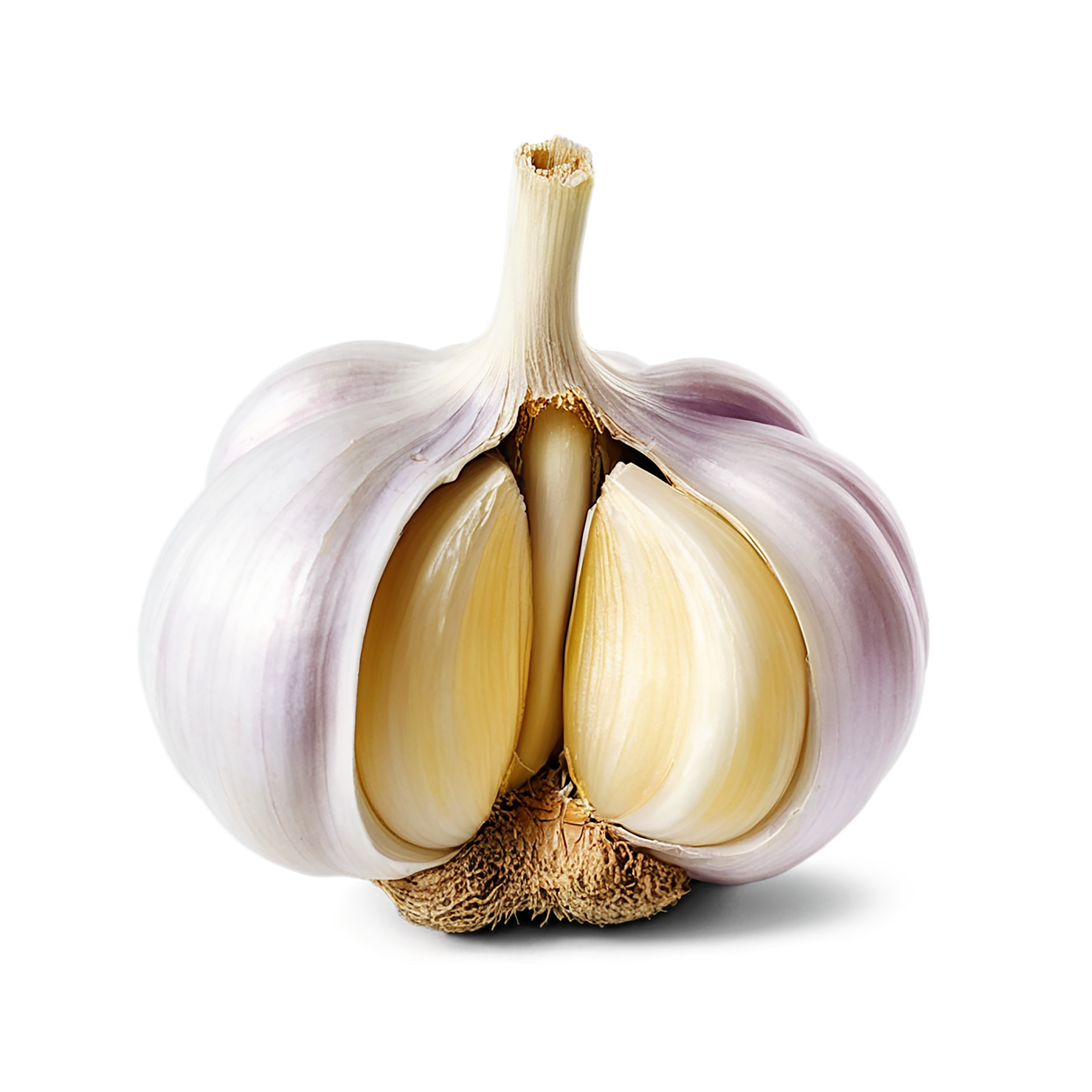 Garlic vegetables isolated on transparent background #11404