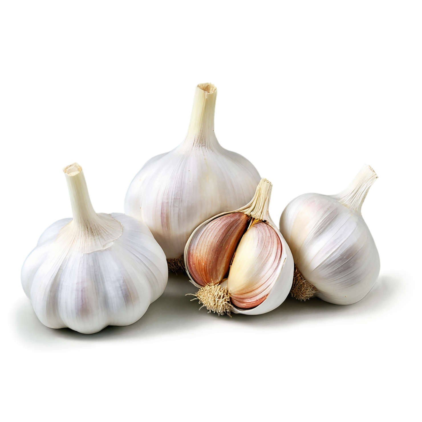 Garlic vegetables isolated on transparent background #11413