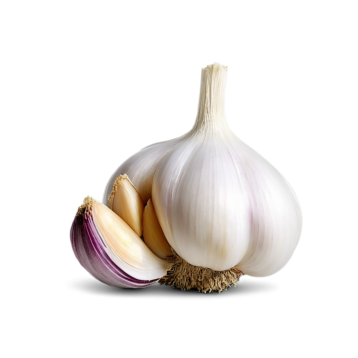 Garlic vegetables isolated on transparent background #11419