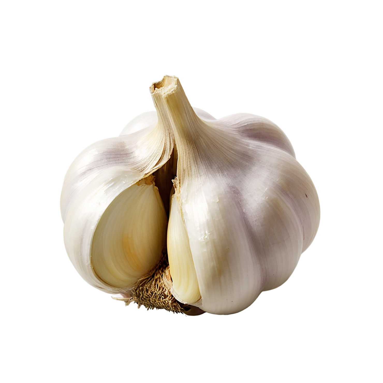Garlic vegetables isolated on transparent background #11423