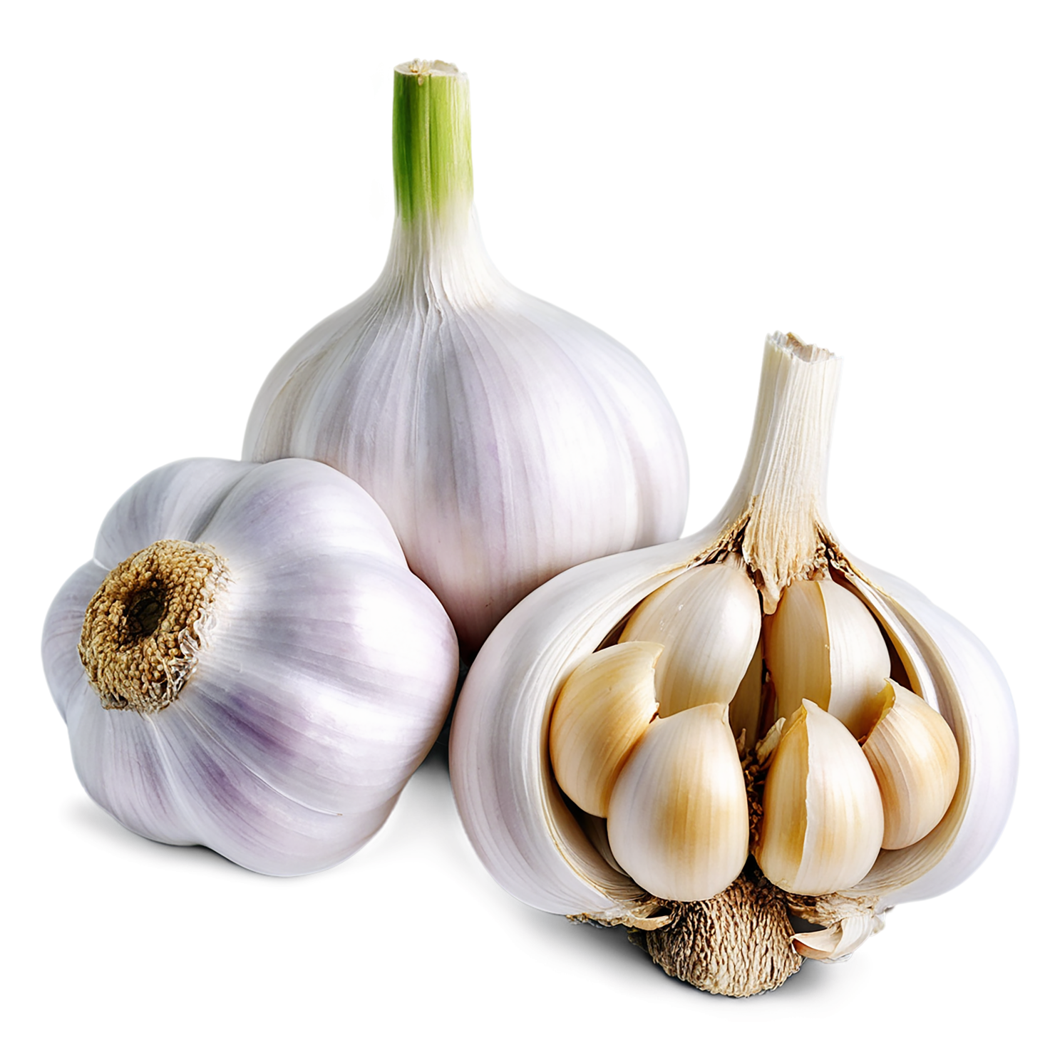 Garlic vegetables isolated on transparent background #11425