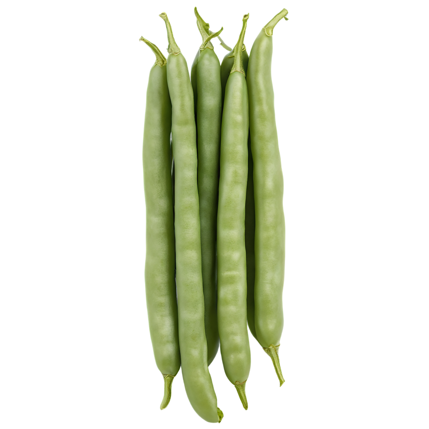 green beans vegetables isolated on transparent background #11453