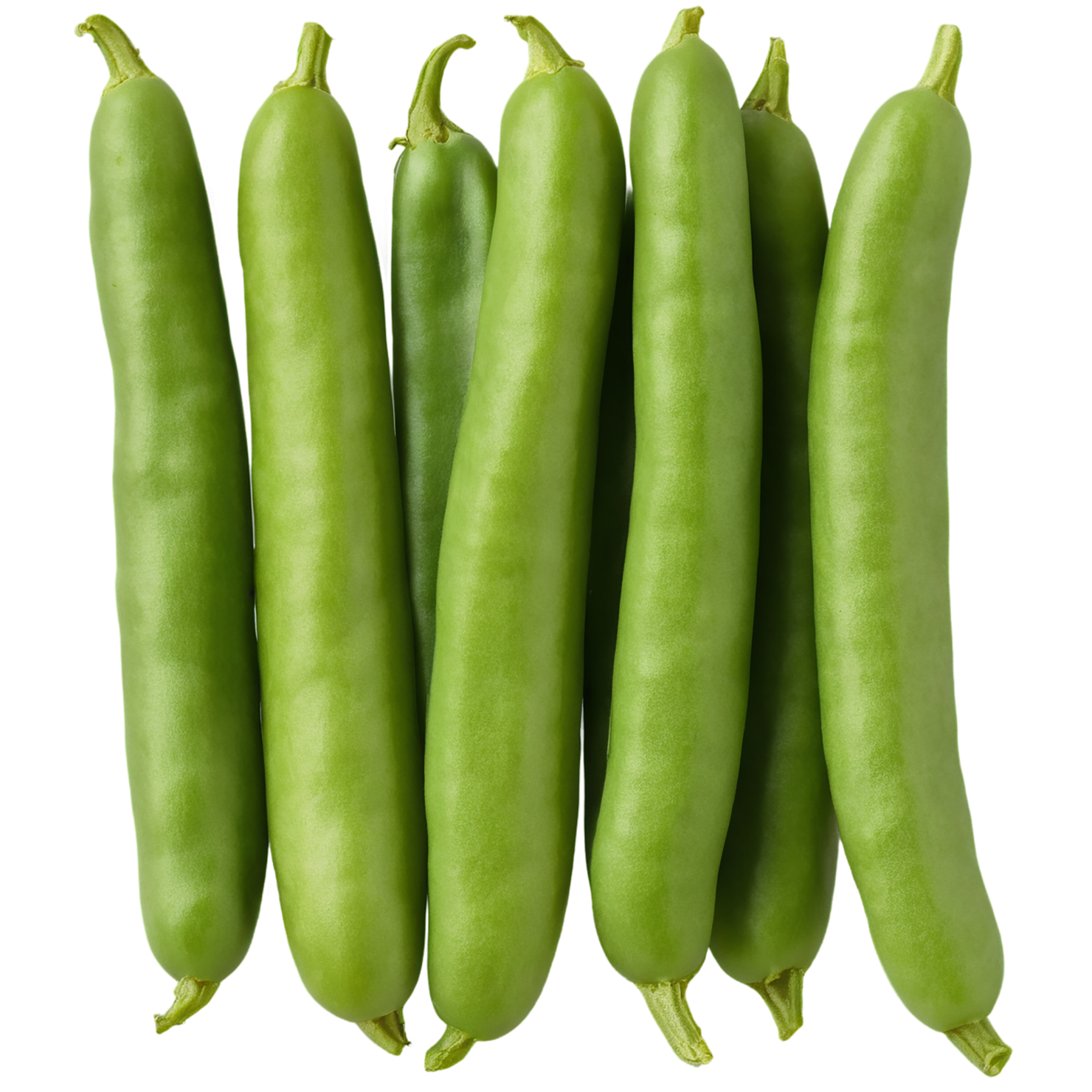 green beans vegetables isolated on transparent background #11454