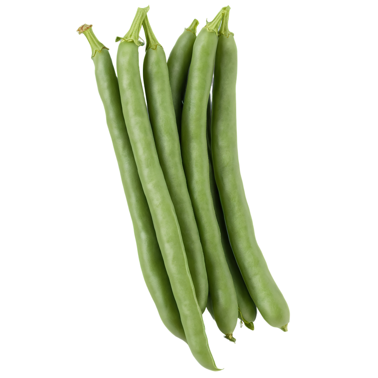 green beans vegetables isolated on transparent background #11464