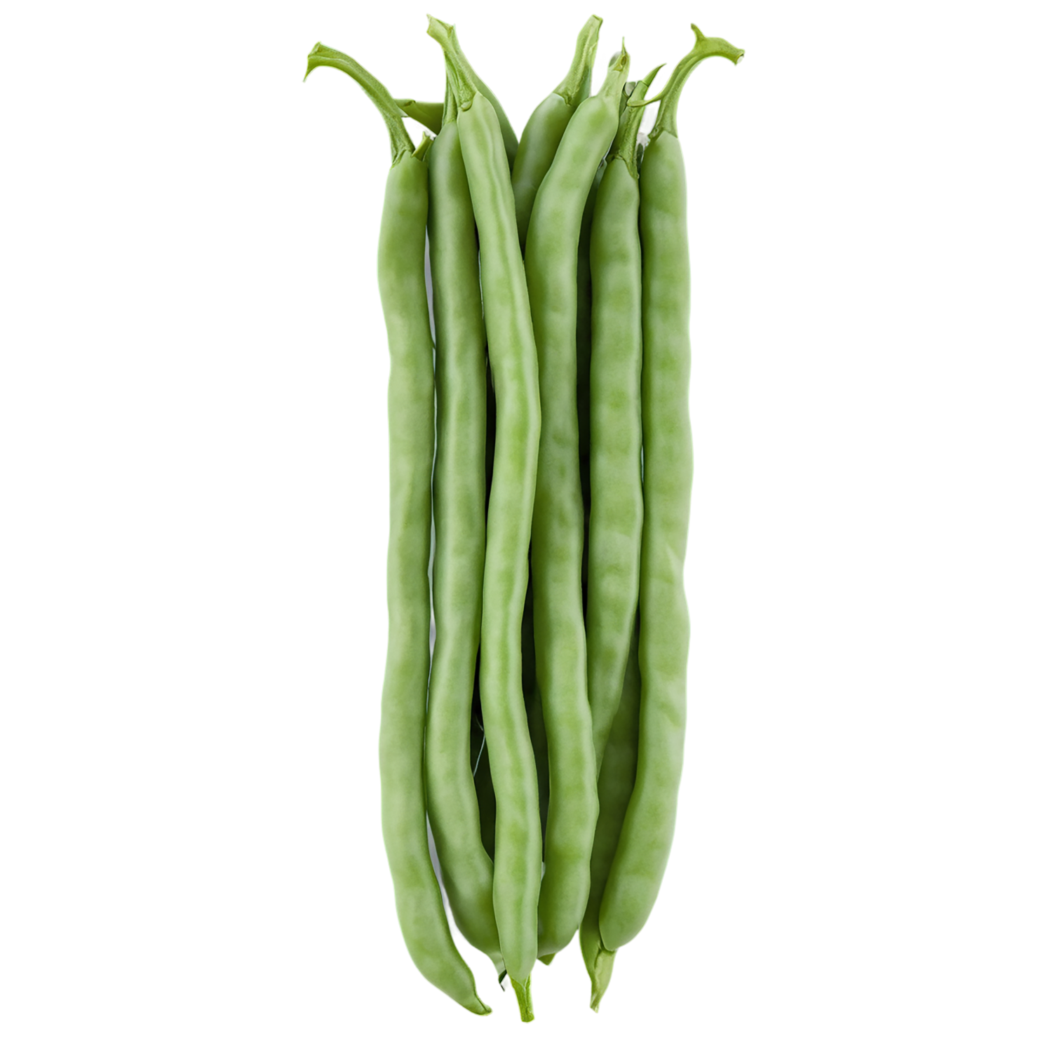green beans vegetables isolated on transparent background #11469