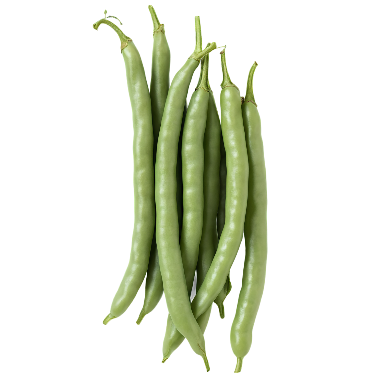 green beans vegetables isolated on transparent background #11471