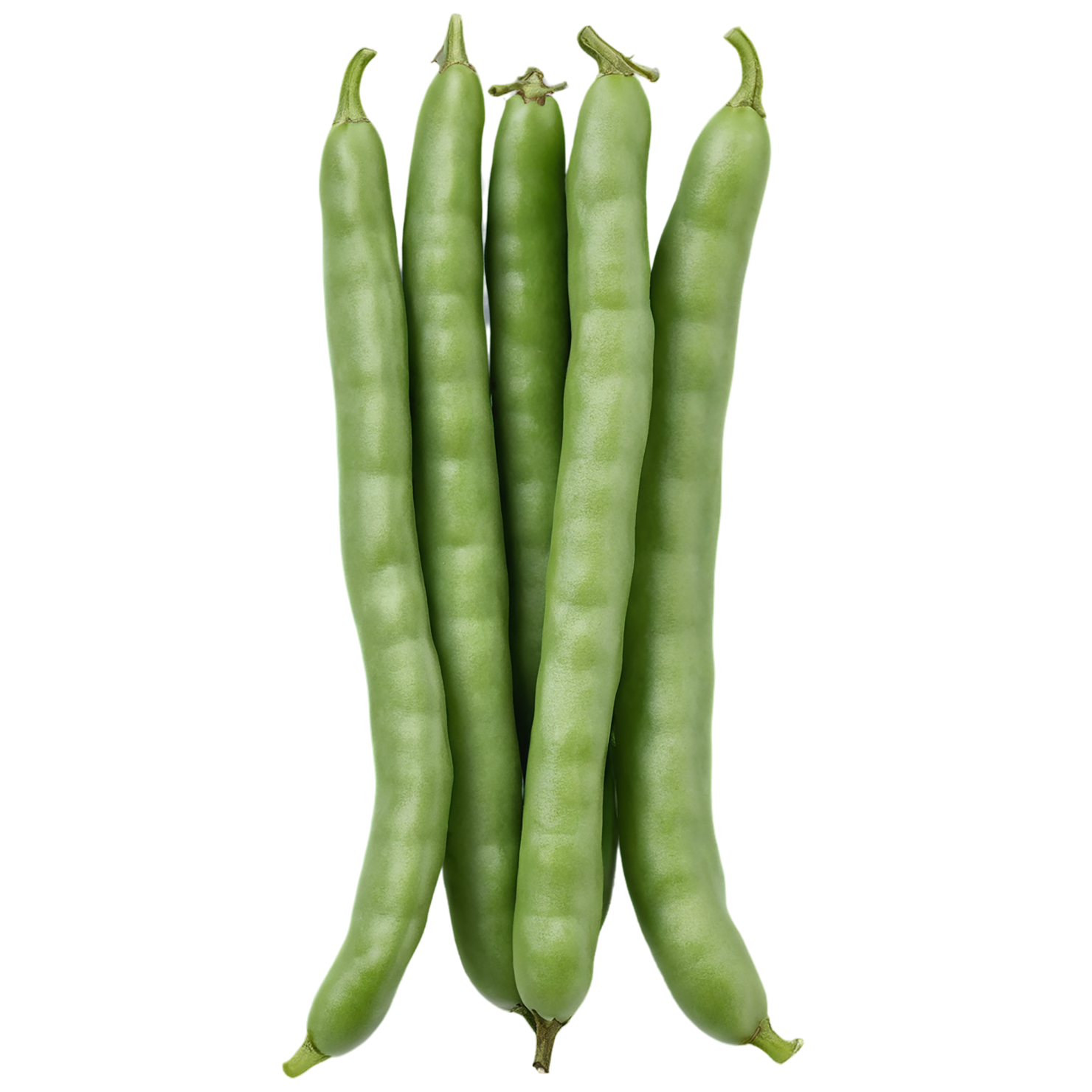 green beans vegetables isolated on transparent background #11473