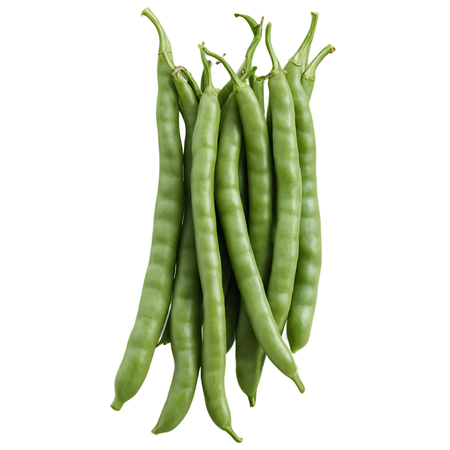 green beans vegetables isolated on transparent background #11475