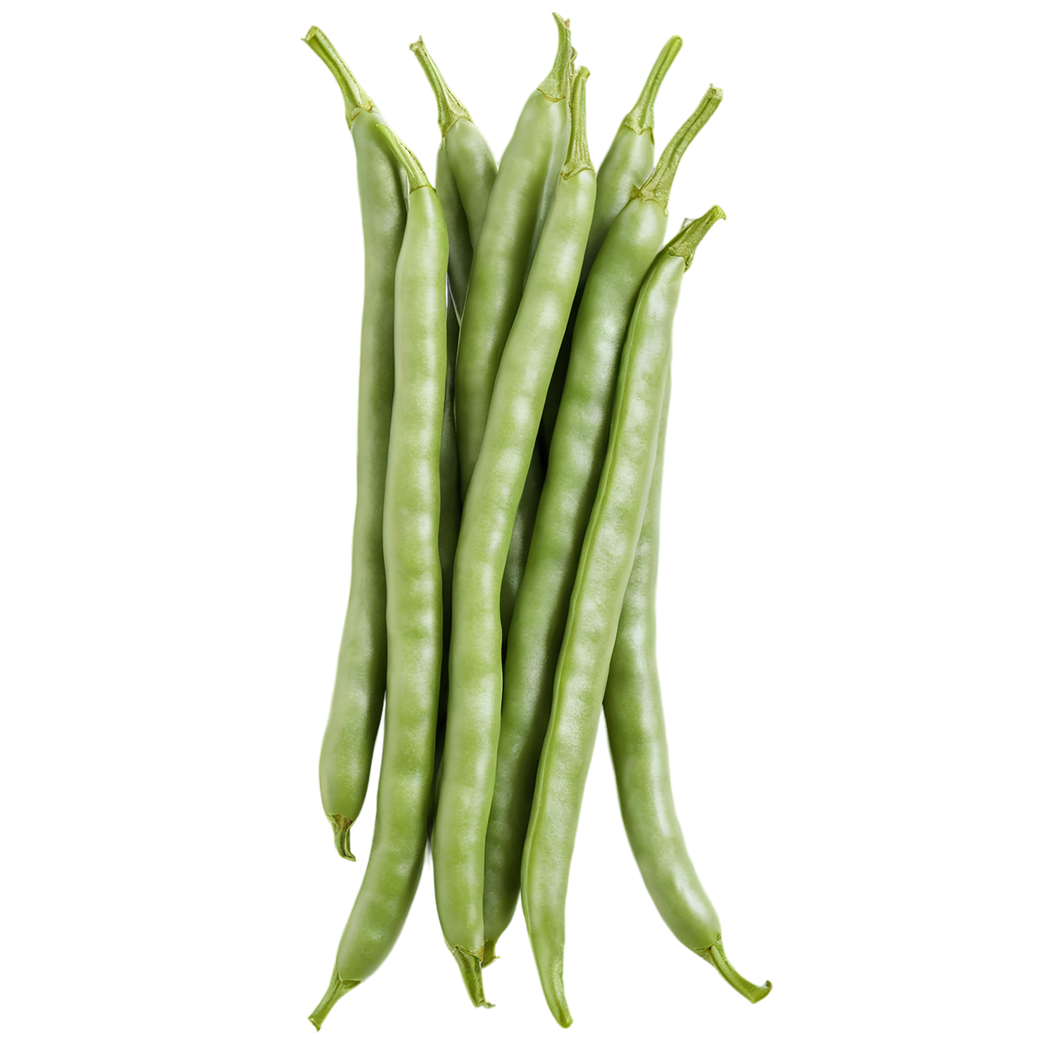 green beans vegetables isolated on transparent background #11490