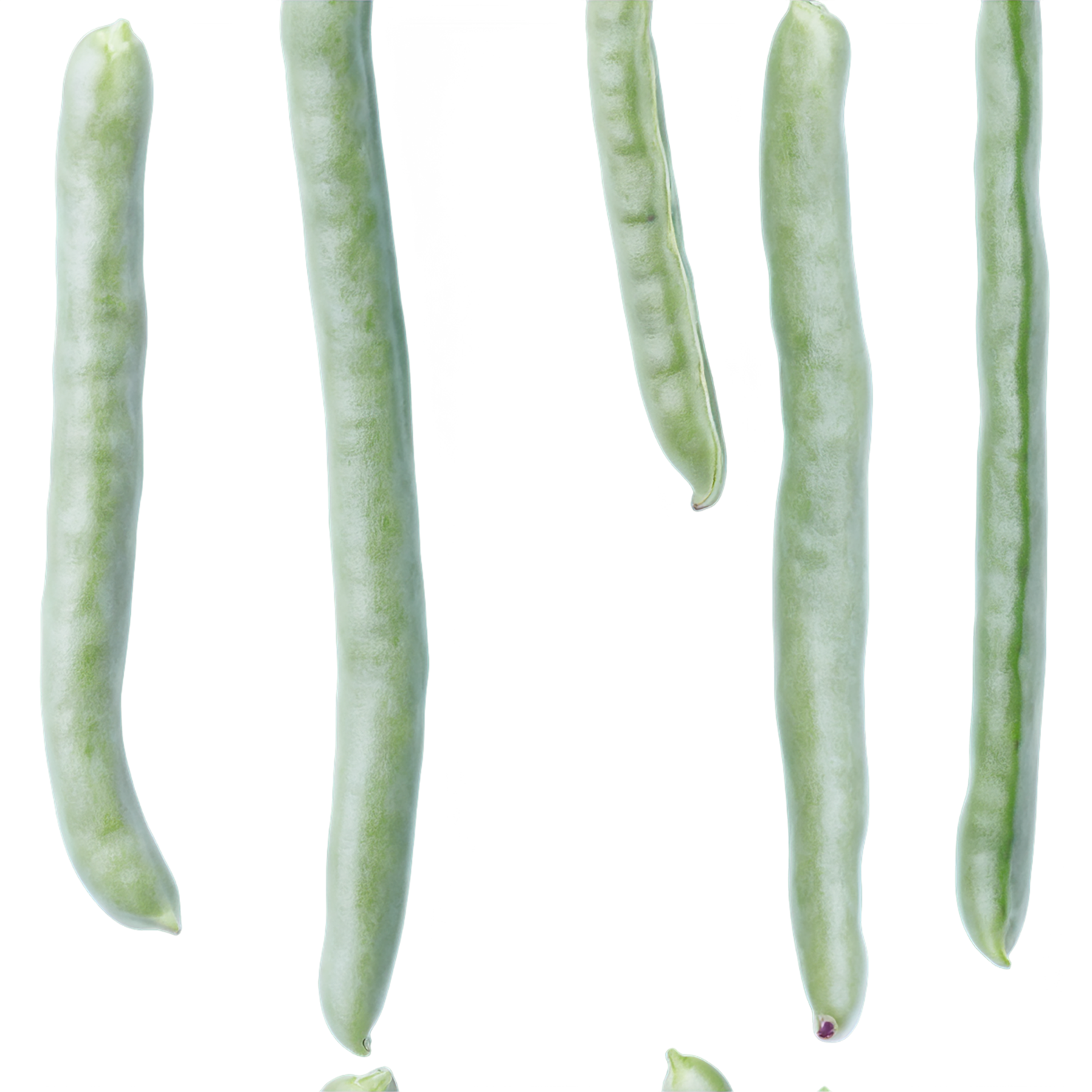 green beans vegetables isolated on transparent background #11492