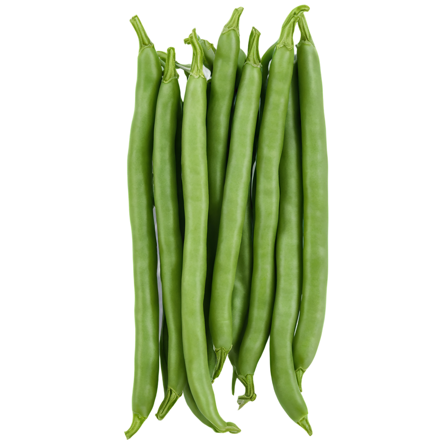 green beans vegetables isolated on transparent background #11495