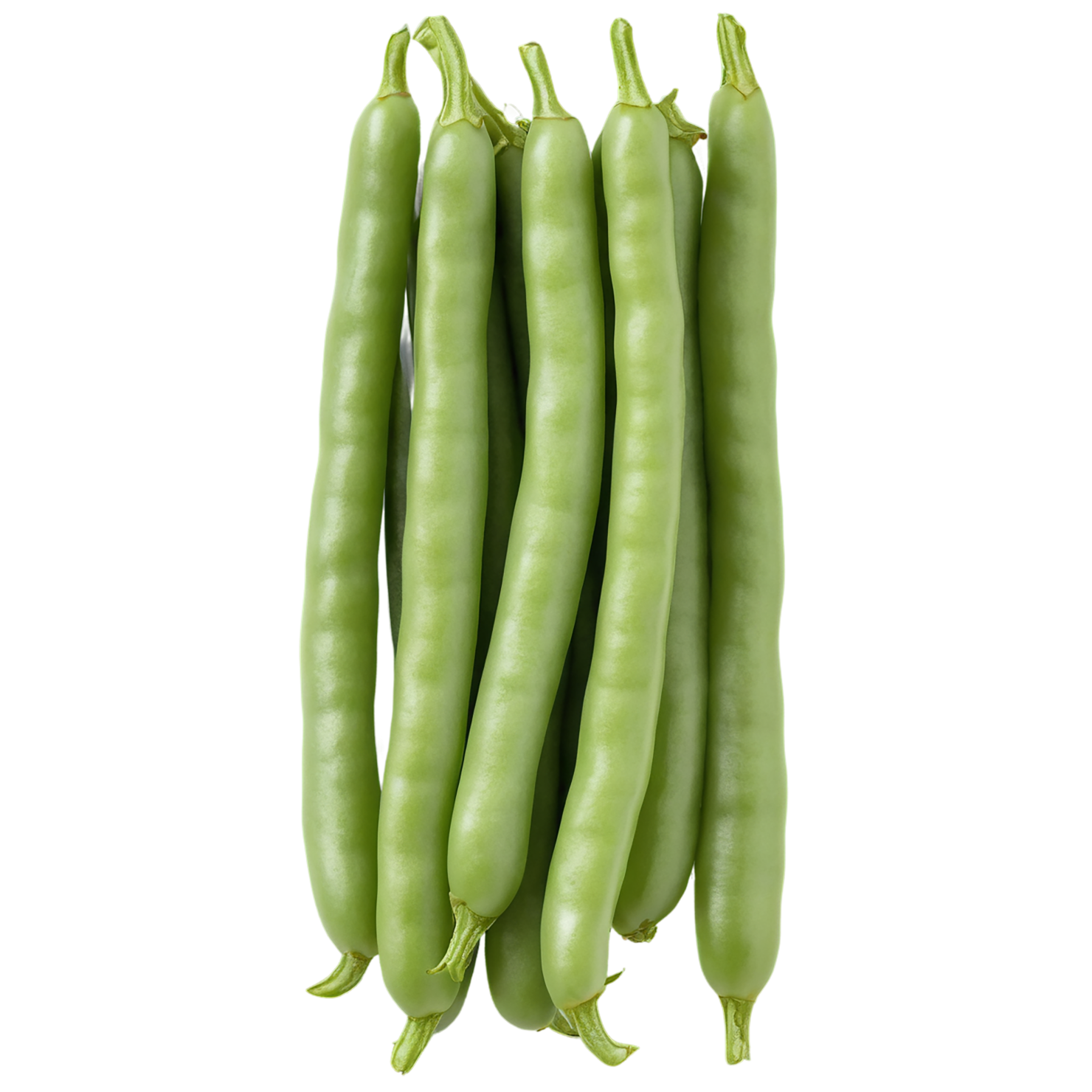 green beans vegetables isolated on transparent background #11508