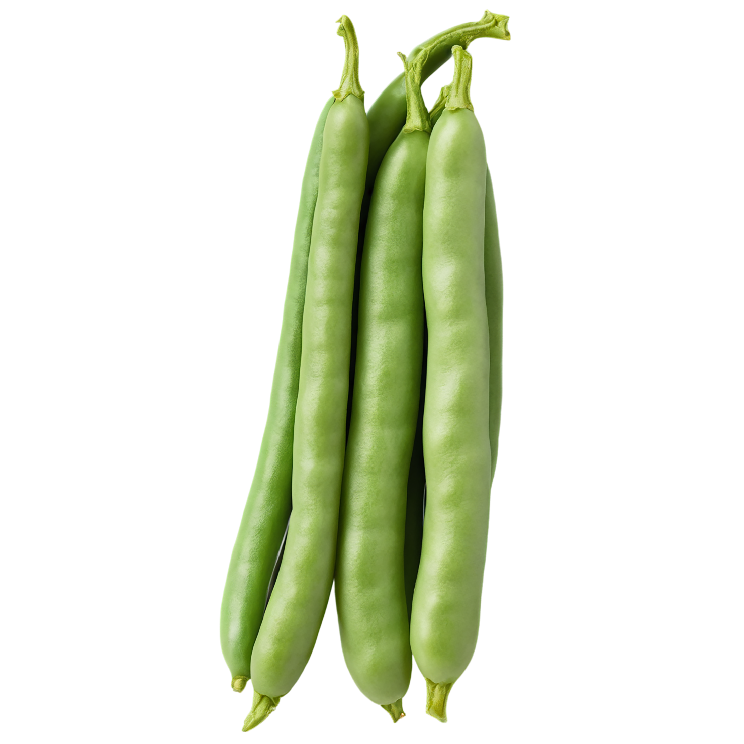green beans vegetables isolated on transparent background #11513