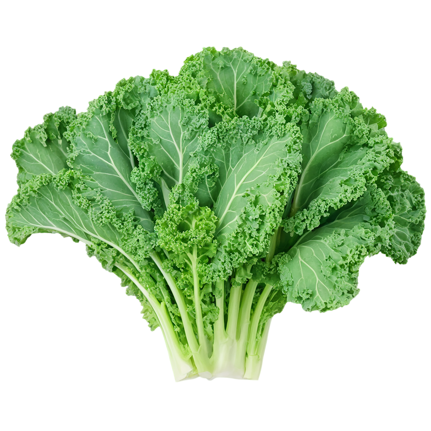 Kale vegetables isolated on transparent background #11519