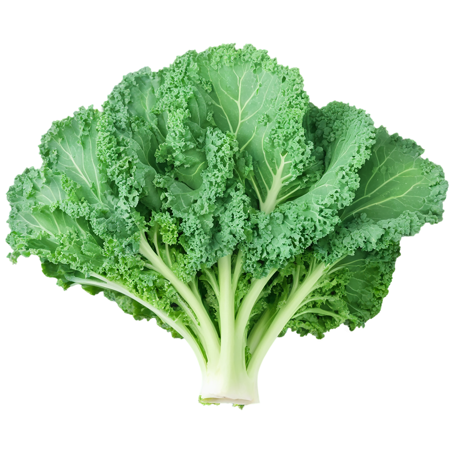 Kale vegetables isolated on transparent background #11524