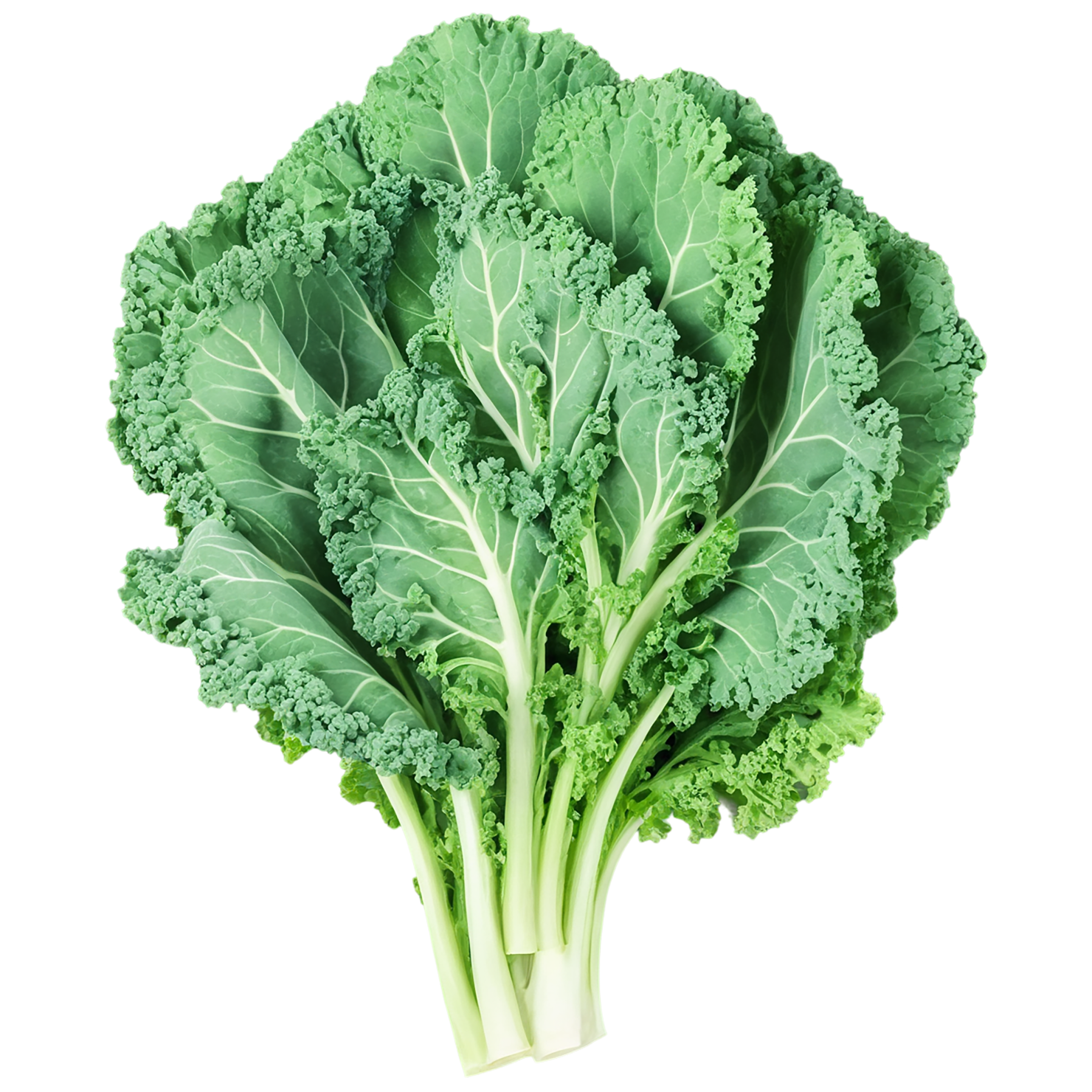 Kale vegetables isolated on transparent background #11529