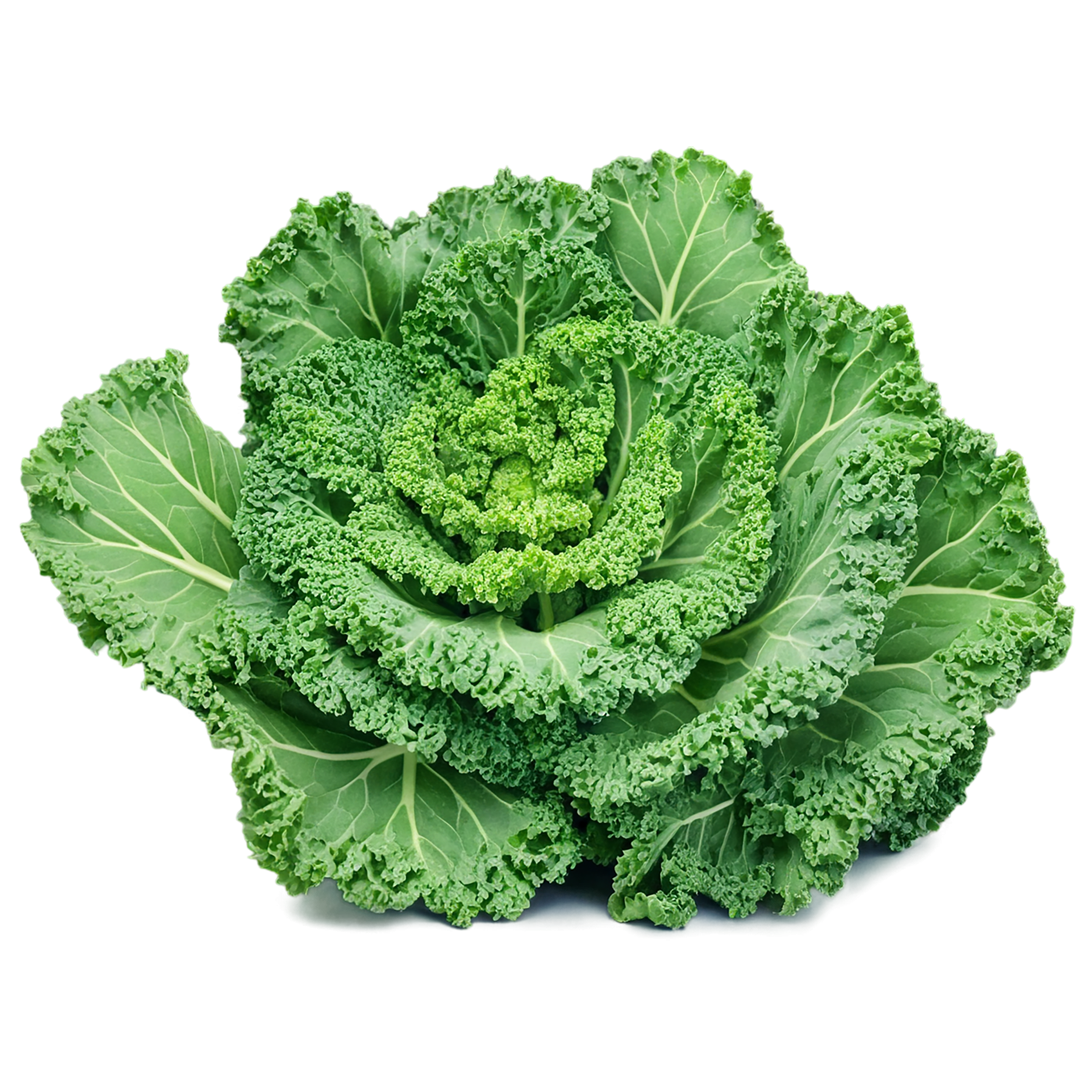 Kale vegetables isolated on transparent background #11530
