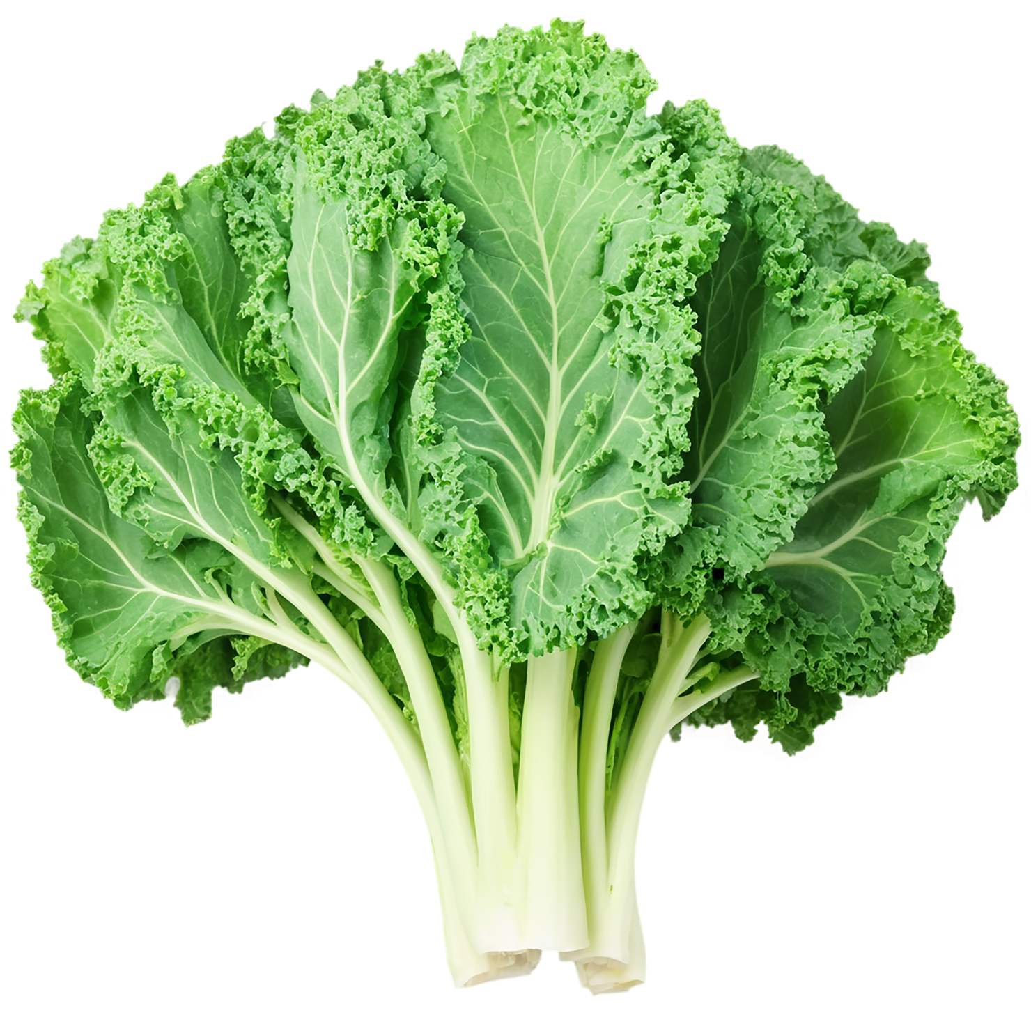 Kale vegetables isolated on transparent background #11533