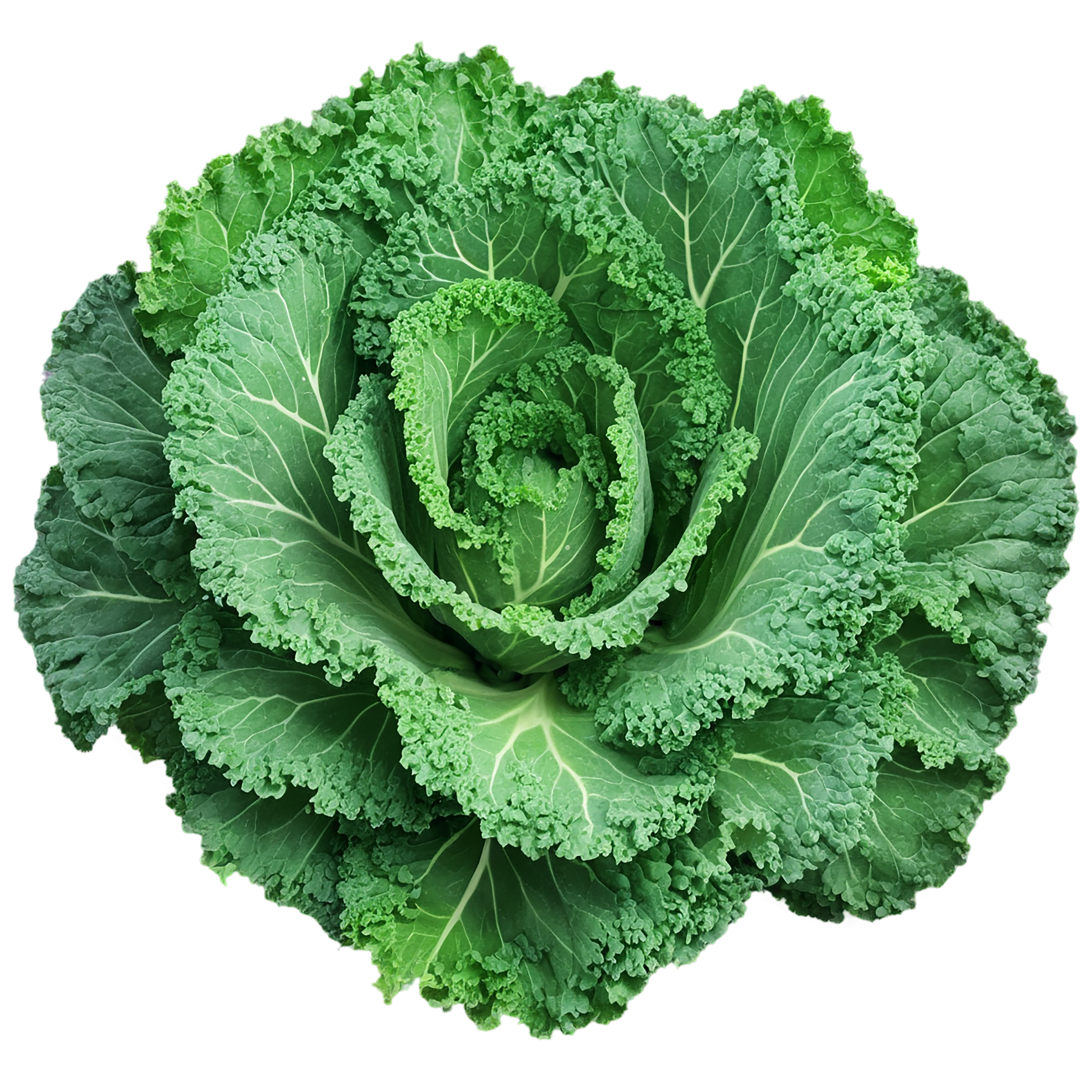 Kale vegetables isolated on transparent background #11535