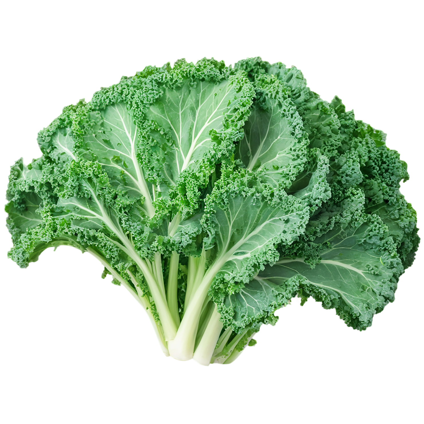 Kale vegetables isolated on transparent background #11540
