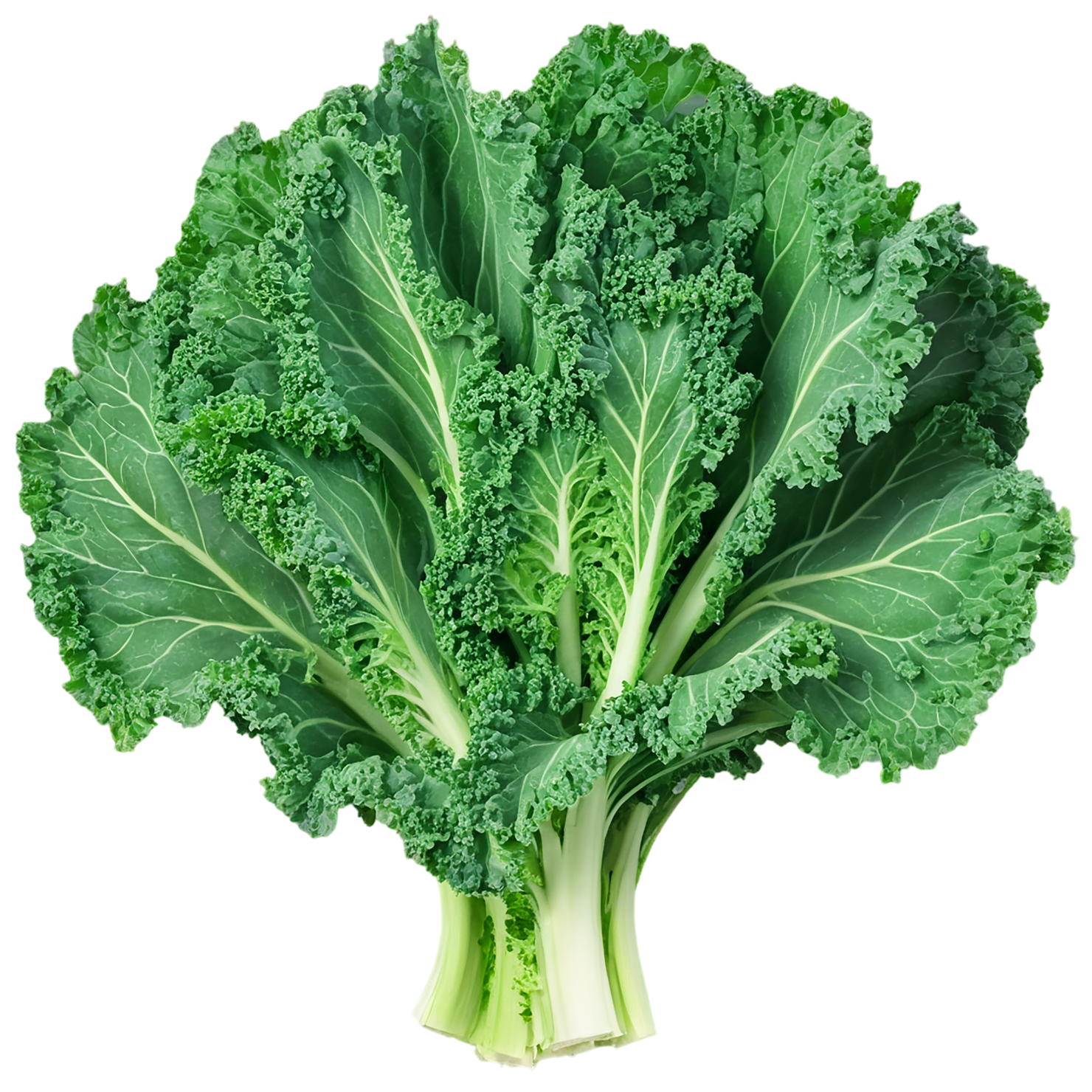 Kale vegetables isolated on transparent background #11543