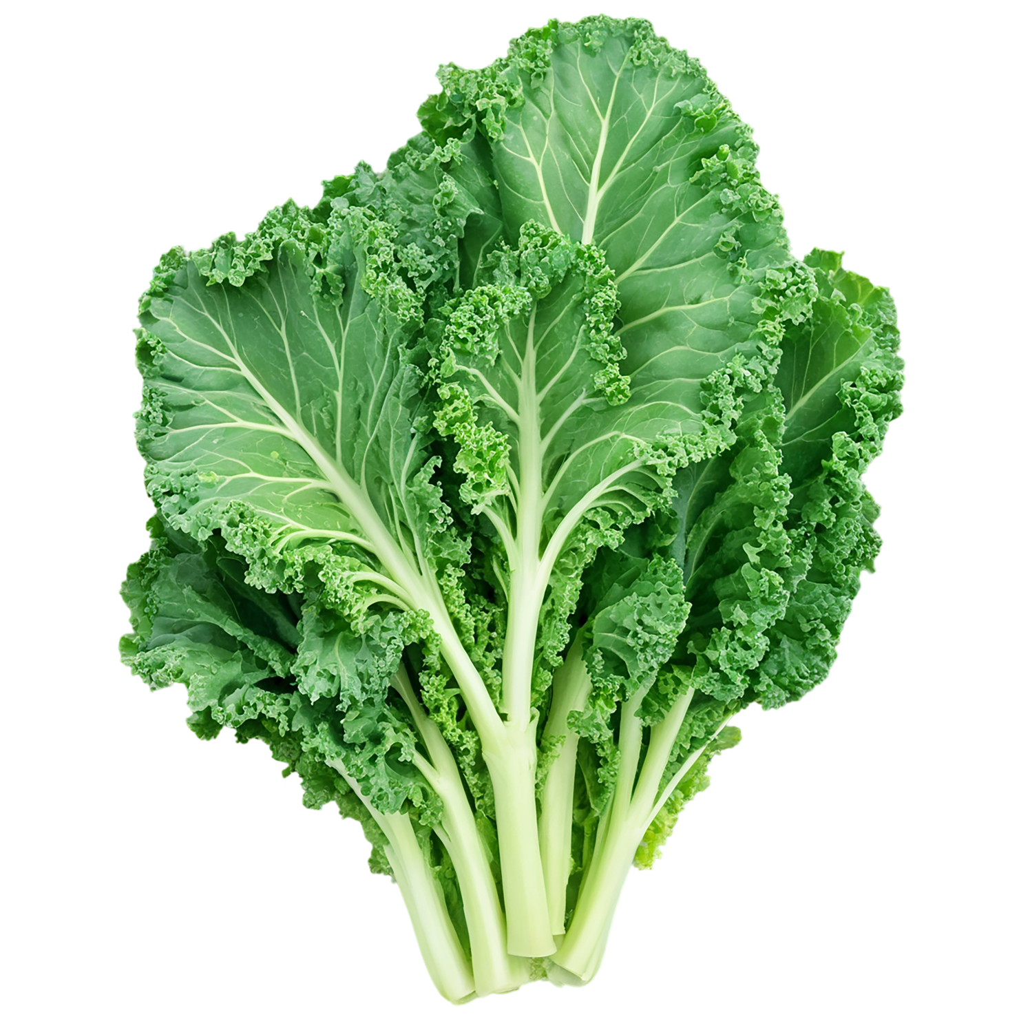 Kale vegetables isolated on transparent background #11544