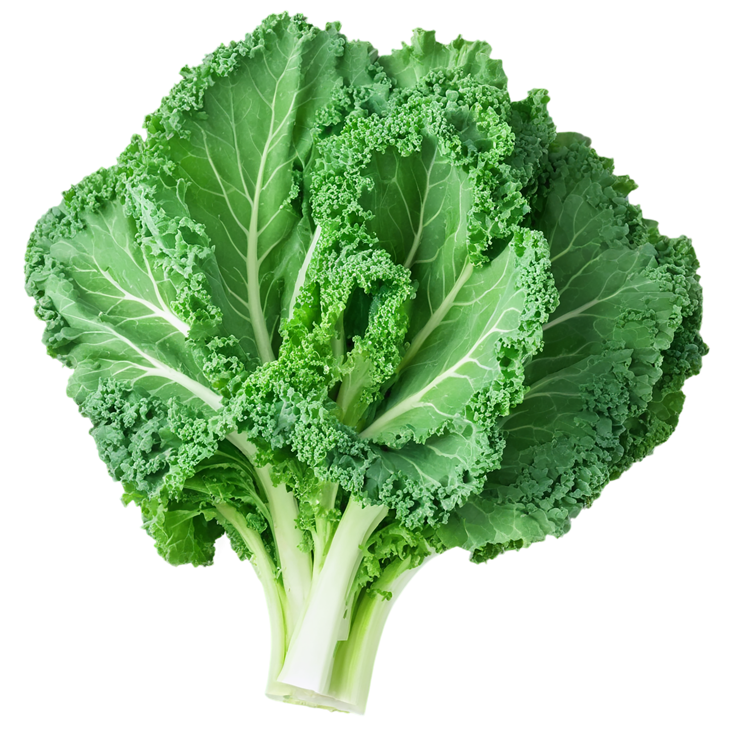 Kale vegetables isolated on transparent background #11546