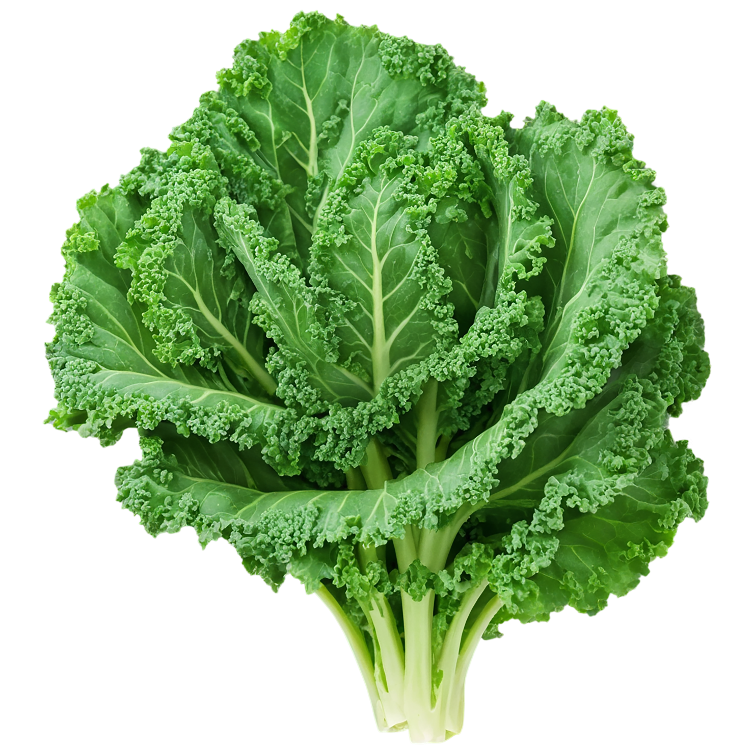 Kale vegetables isolated on transparent background #11549