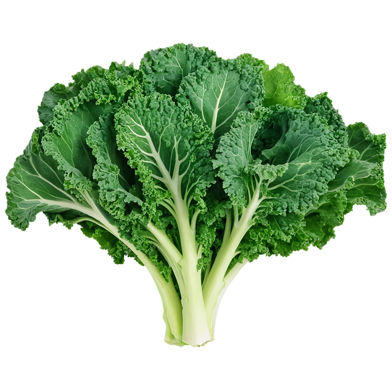 Kale vegetables isolated on transparent background #11561