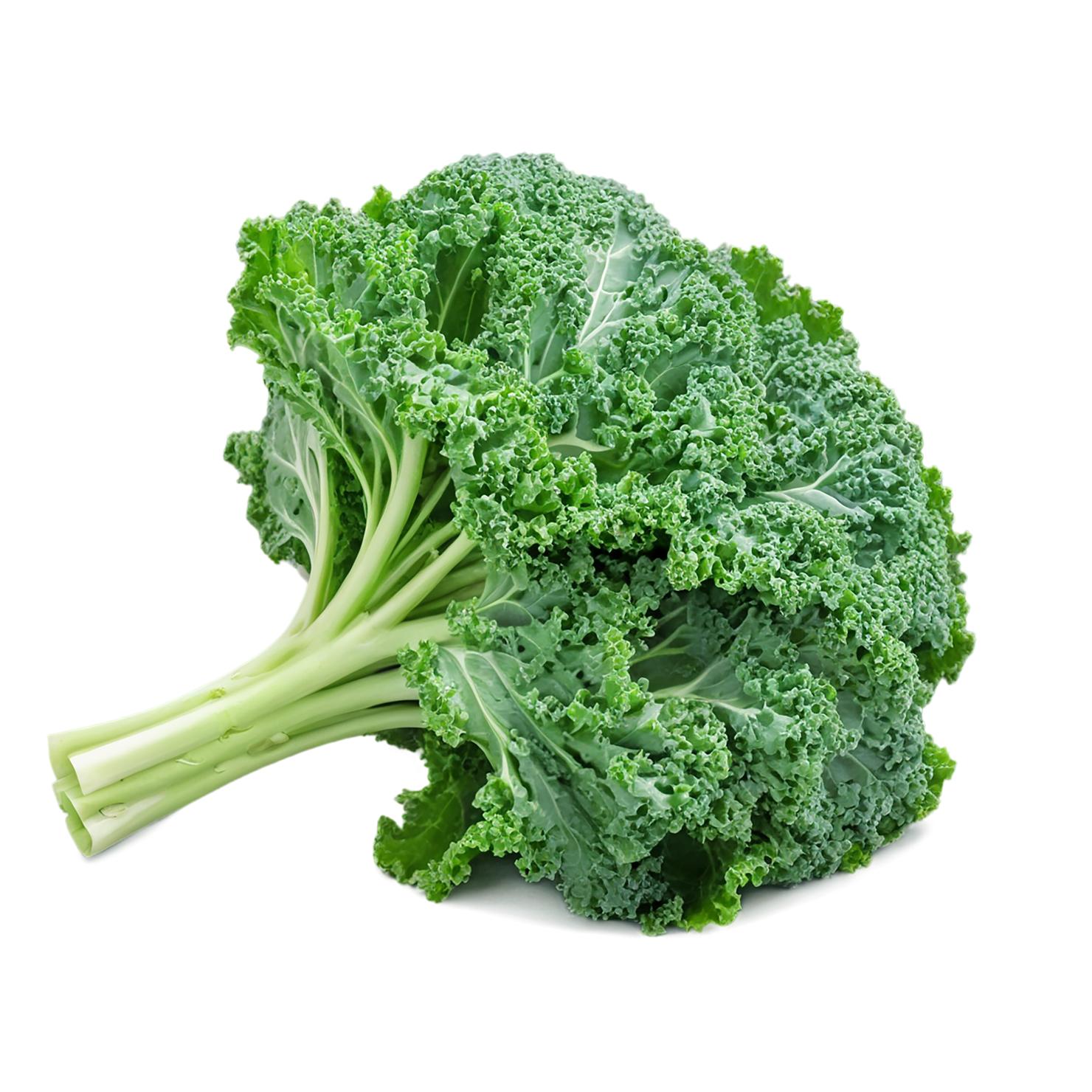 Kale vegetables isolated on transparent background #11569