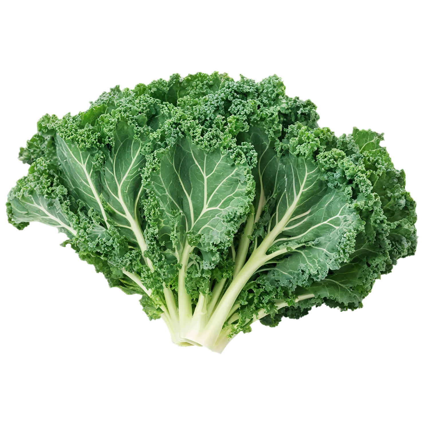 Kale vegetables isolated on transparent background #11573