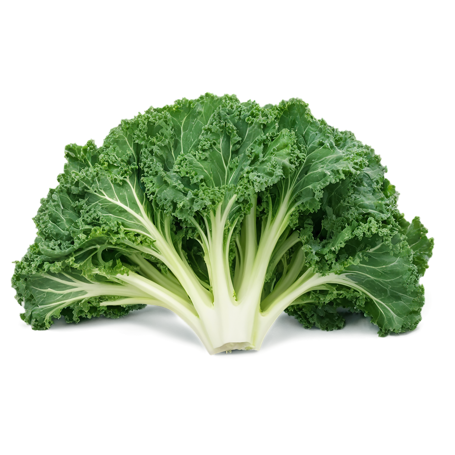 Kale vegetables isolated on transparent background #11574