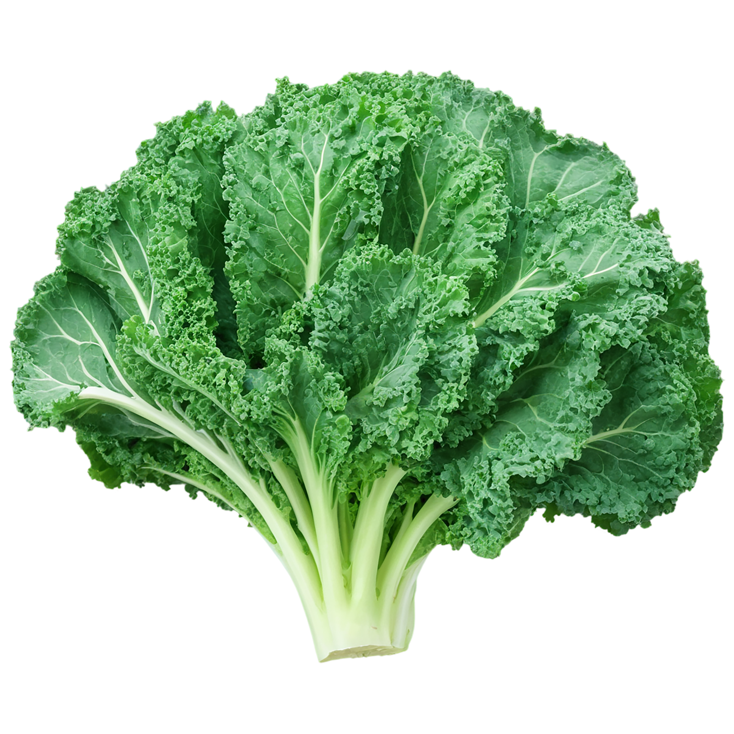 Kale vegetables isolated on transparent background #11587