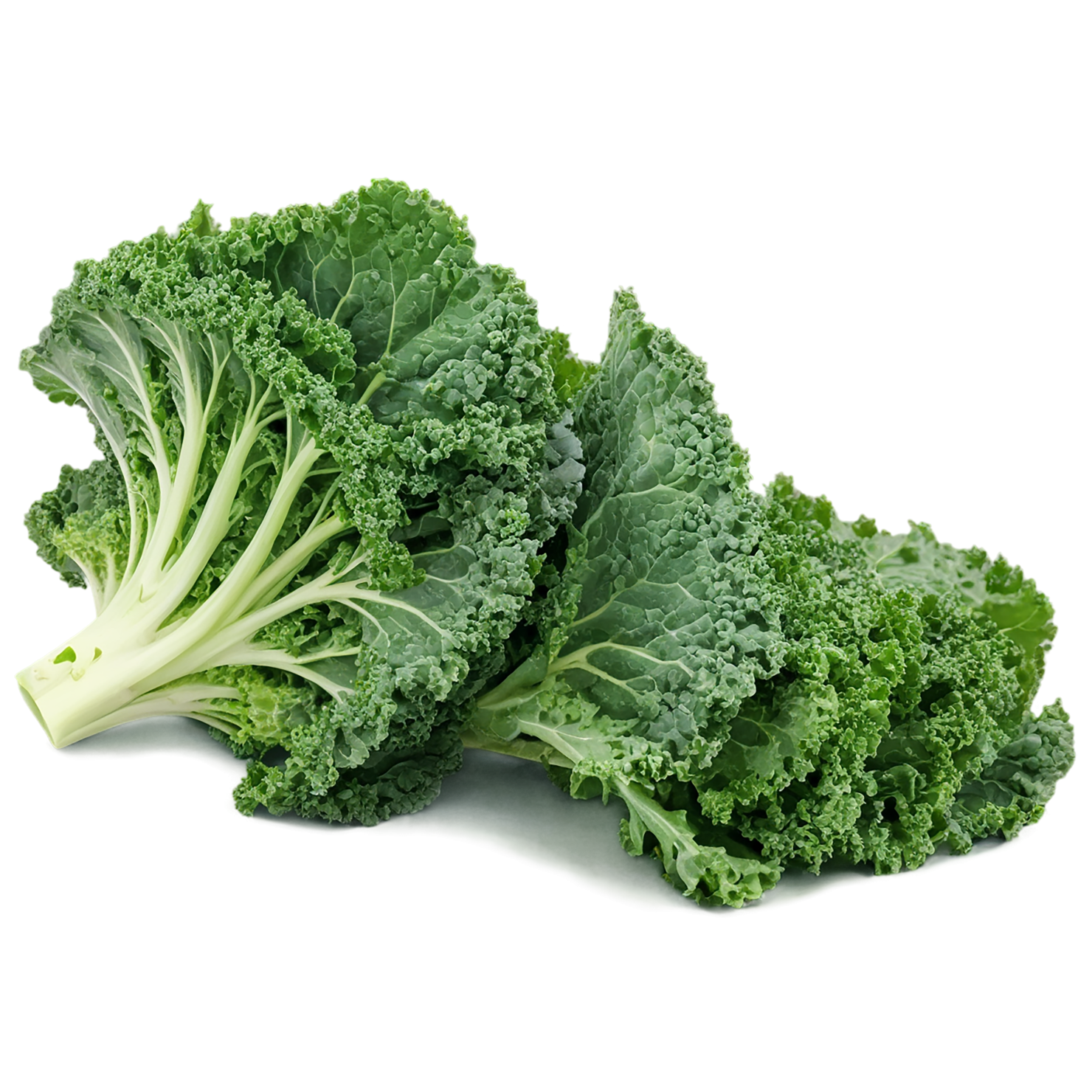 Kale vegetables isolated on transparent background #11591