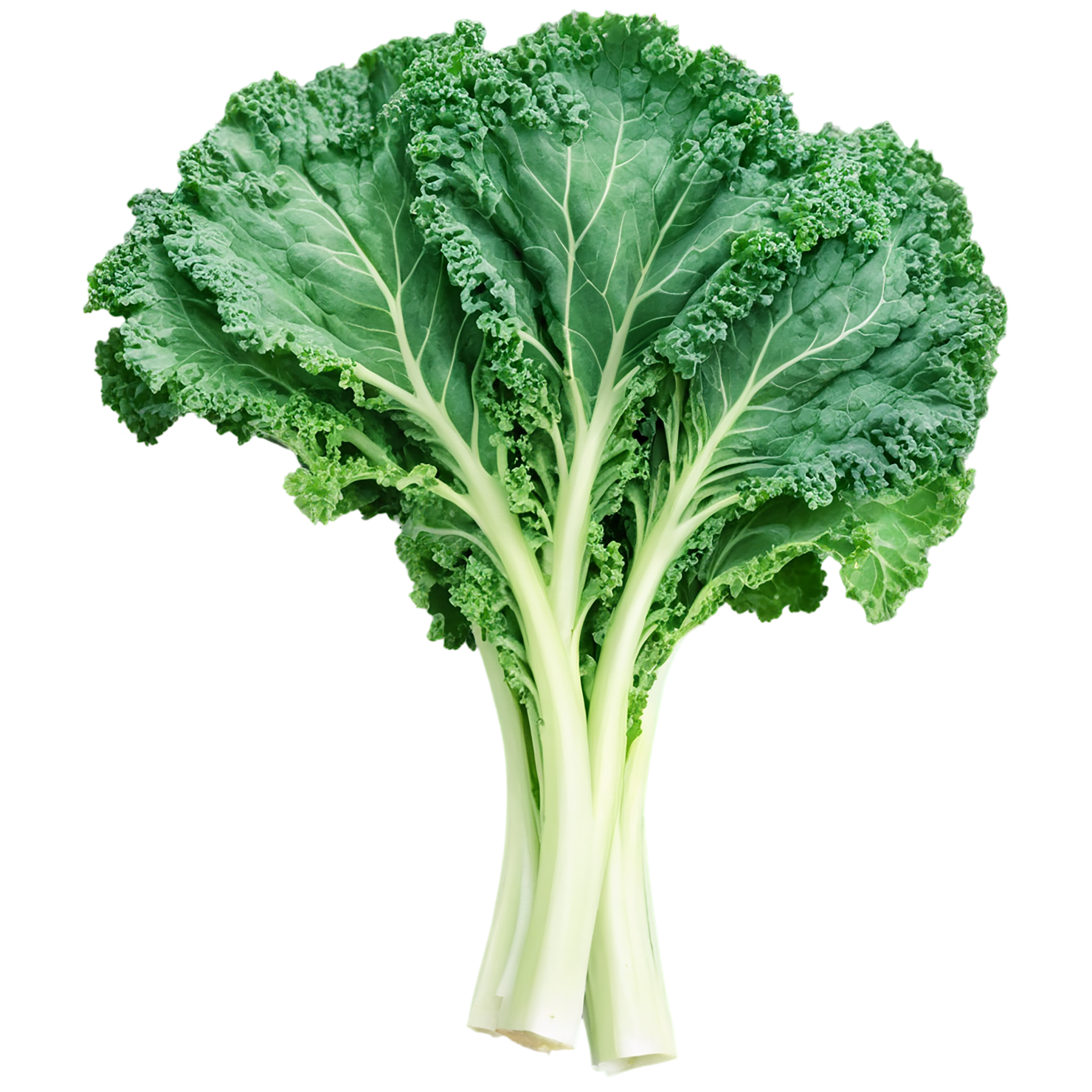 Kale vegetables isolated on transparent background #11599