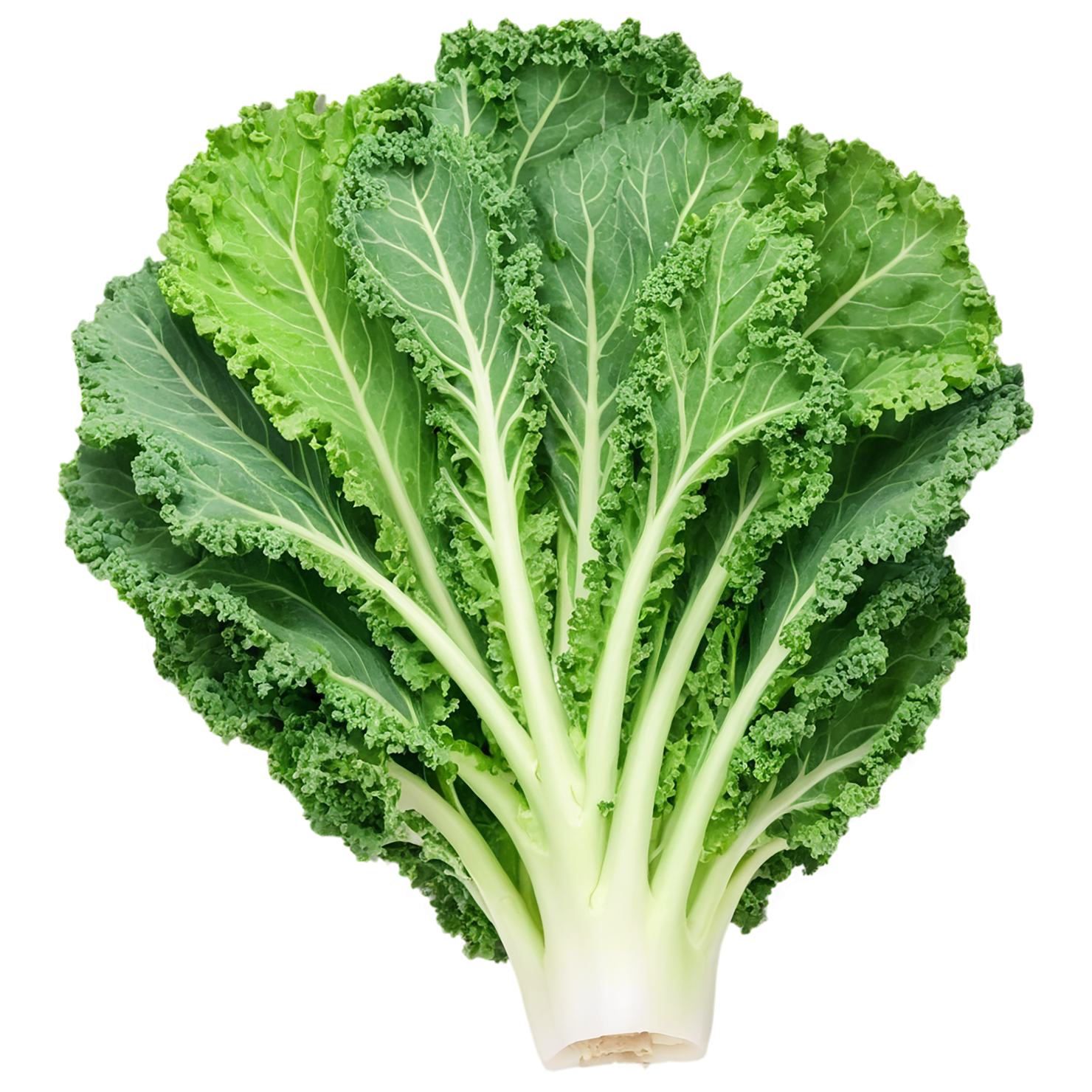 Kale vegetables isolated on transparent background #11601