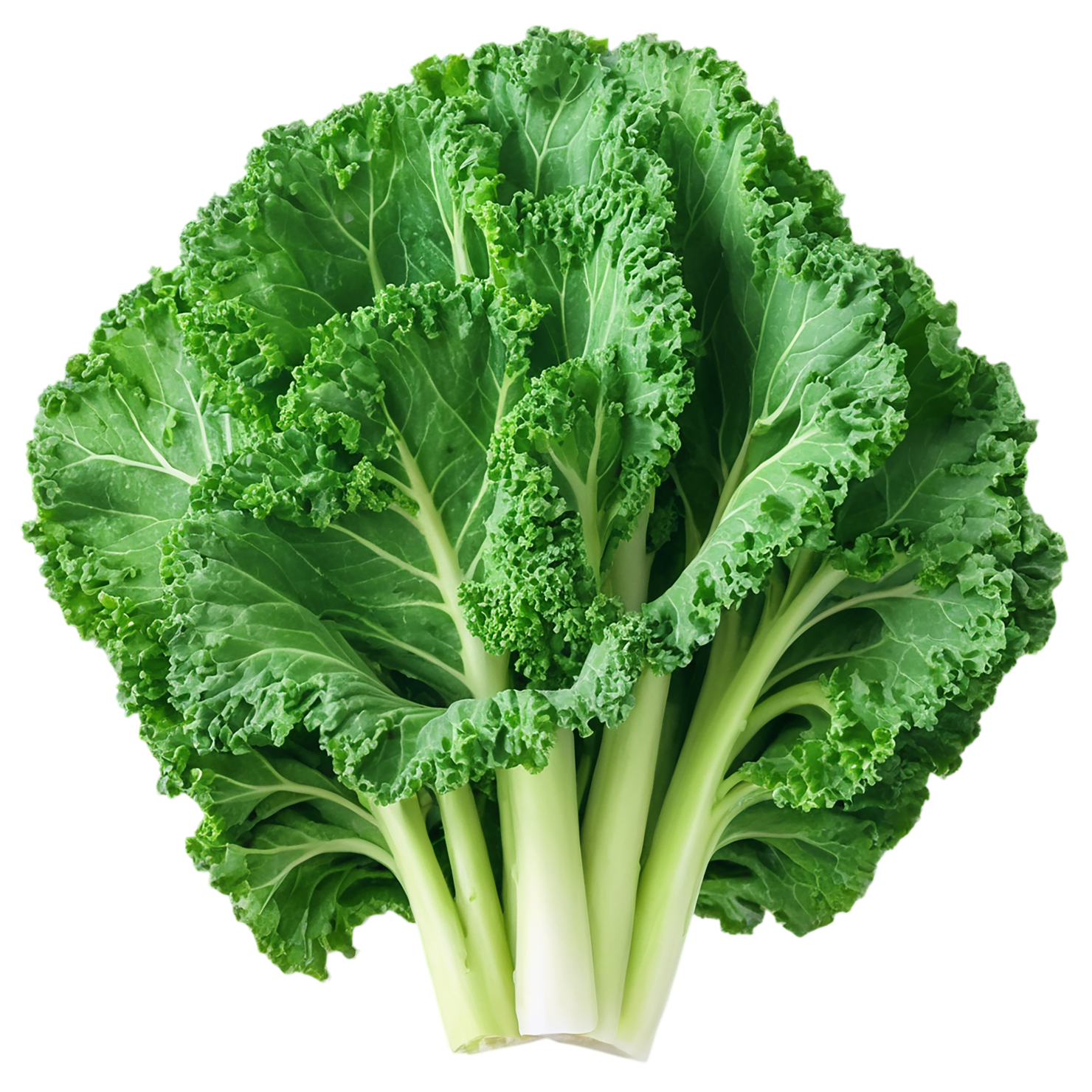 Kale vegetables isolated on transparent background #11603