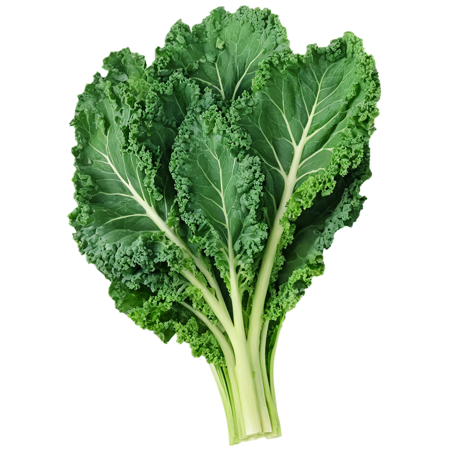 Kale vegetables isolated on transparent background #11607