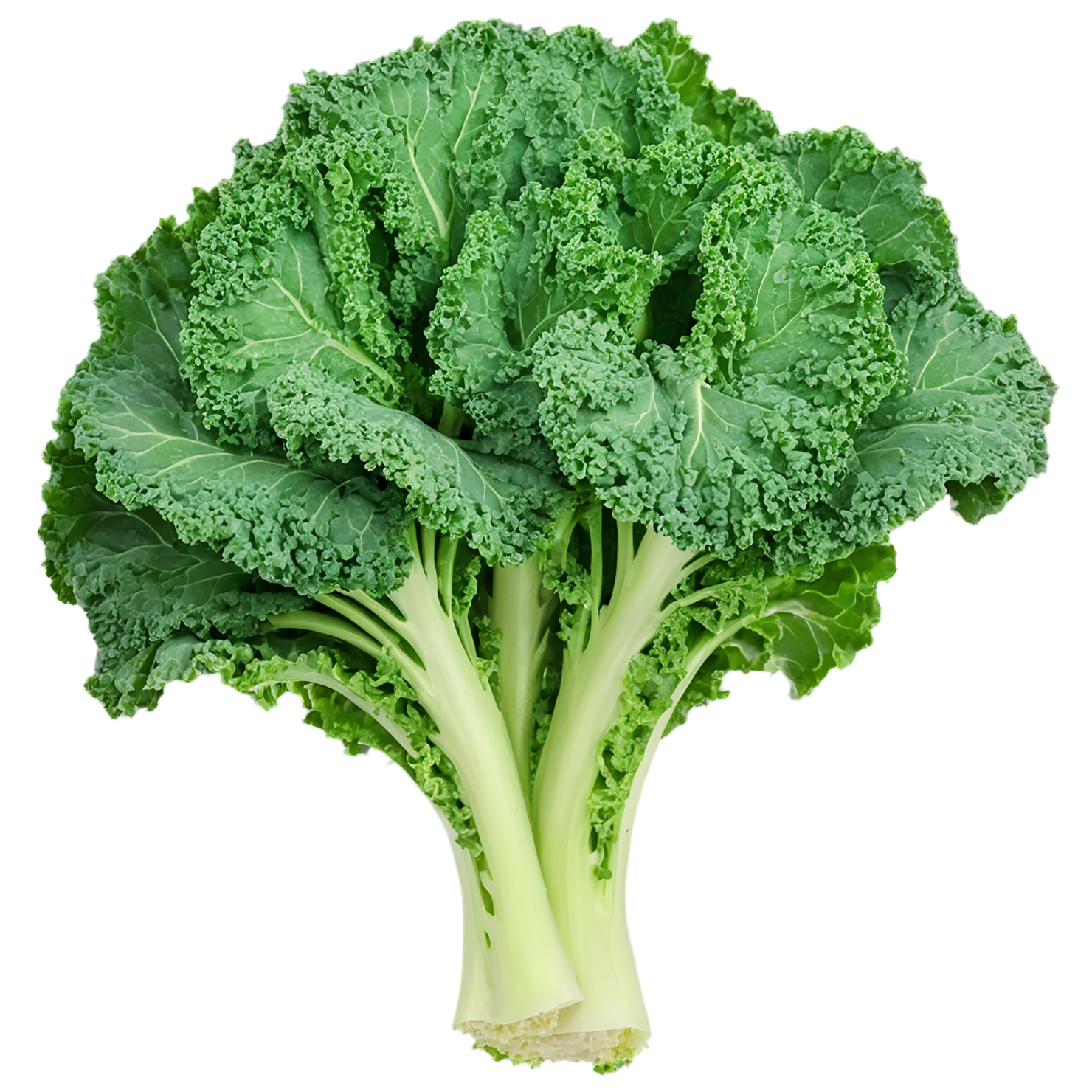 Kale vegetables isolated on transparent background #11609