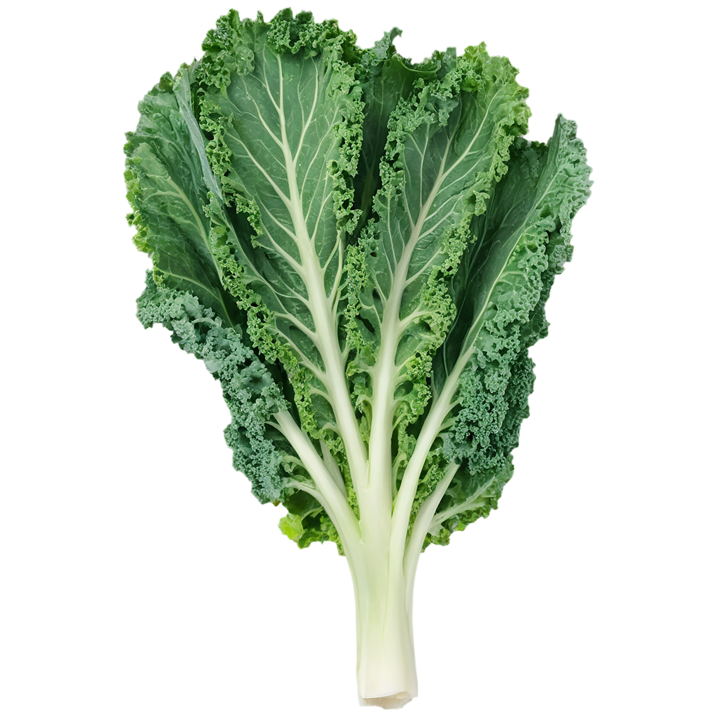 Kale vegetables isolated on transparent background #11611