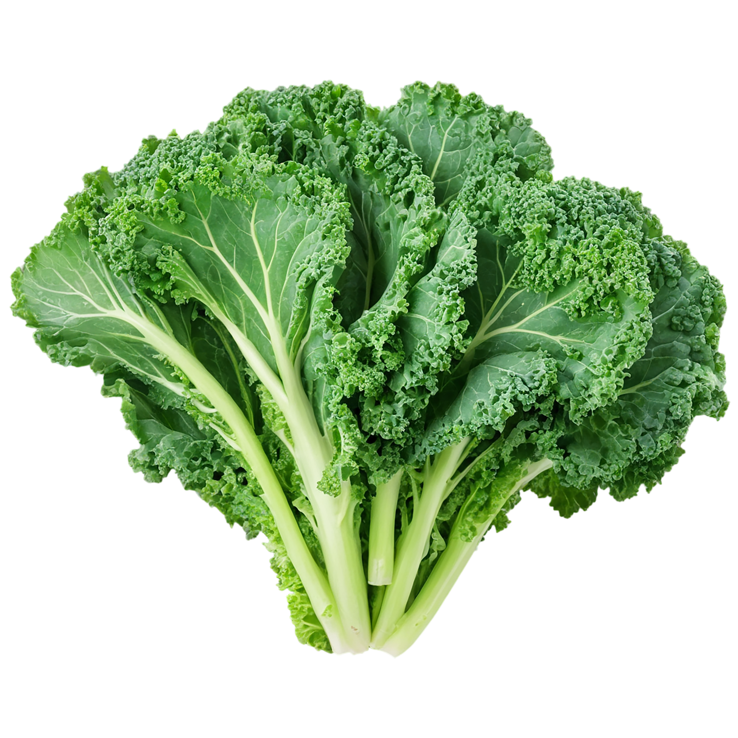 Kale vegetables isolated on transparent background #11614