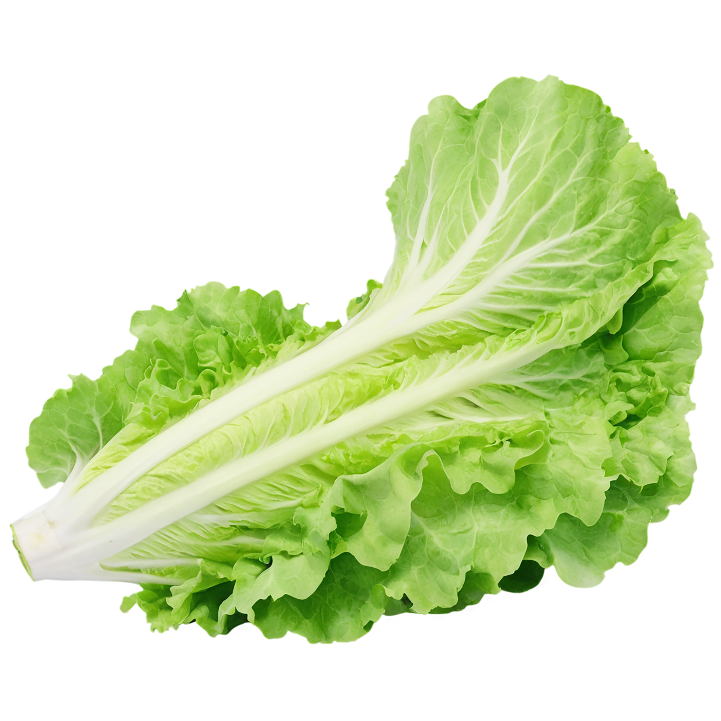 Lettuce vegetables isolated on transparent background #11622