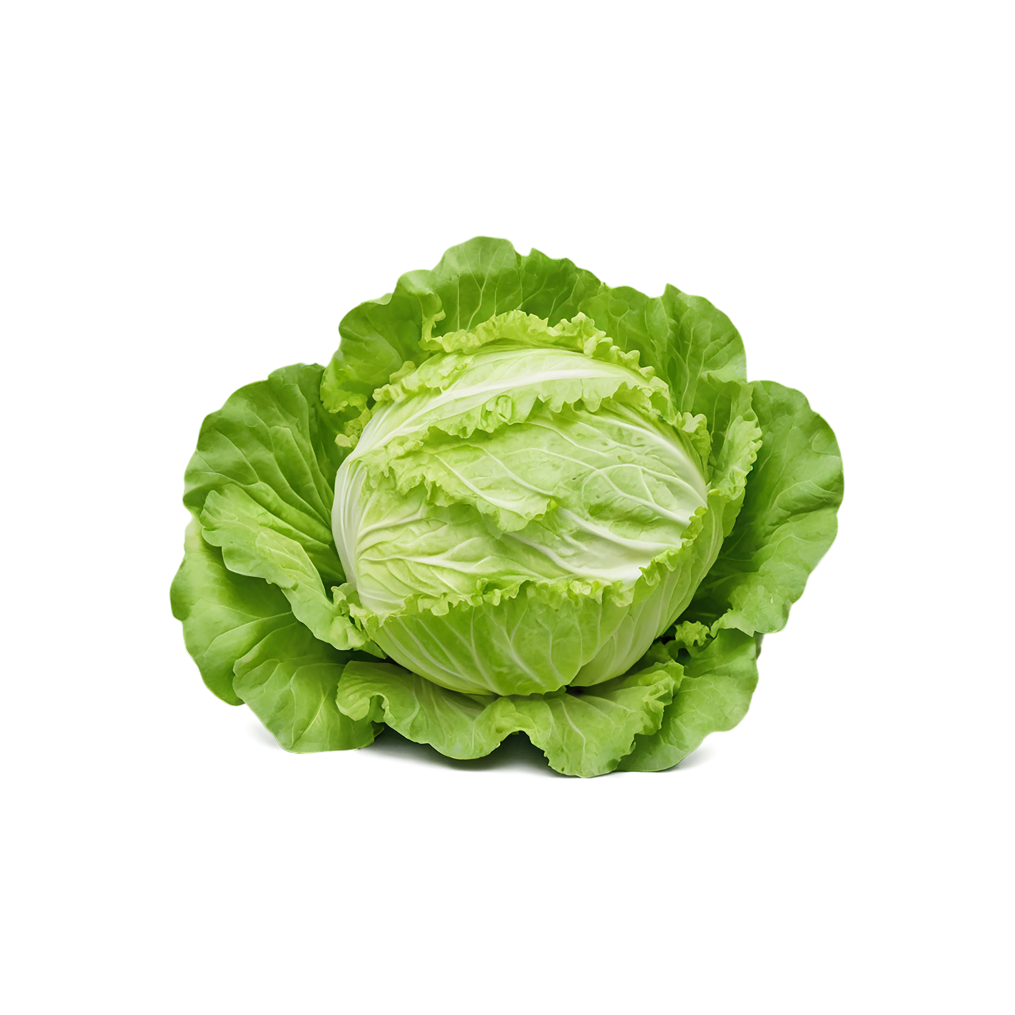 Lettuce vegetables isolated on transparent background #11640