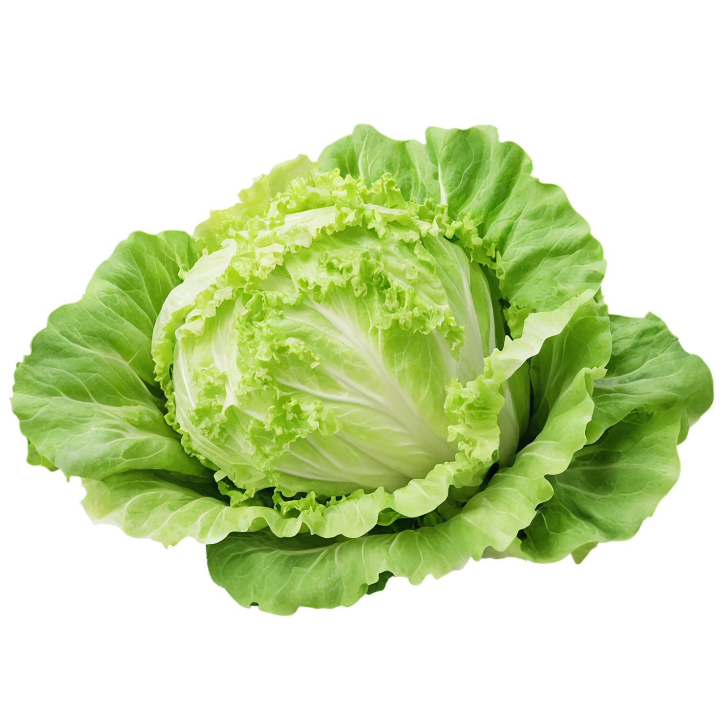 Lettuce vegetables isolated on transparent background #11644