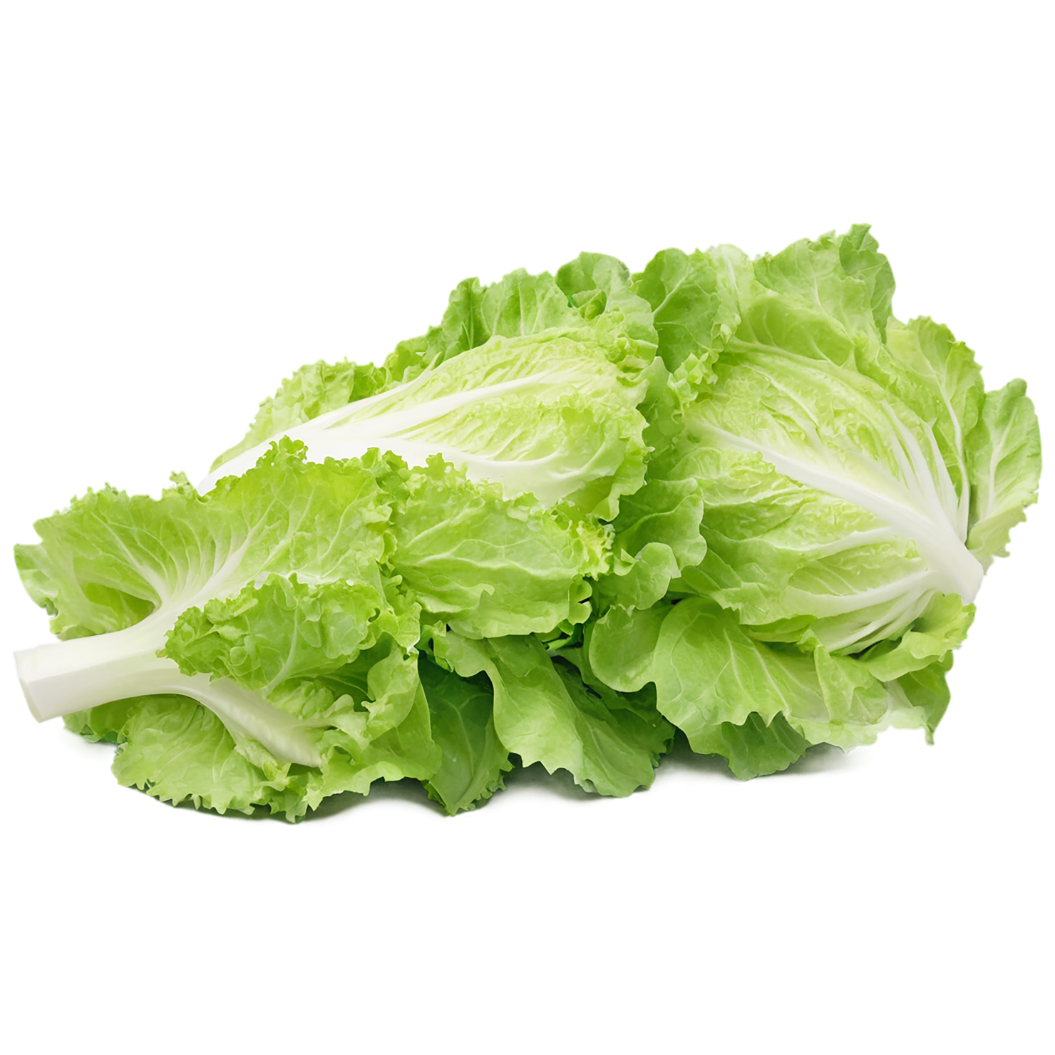 Lettuce vegetables isolated on transparent background #11665