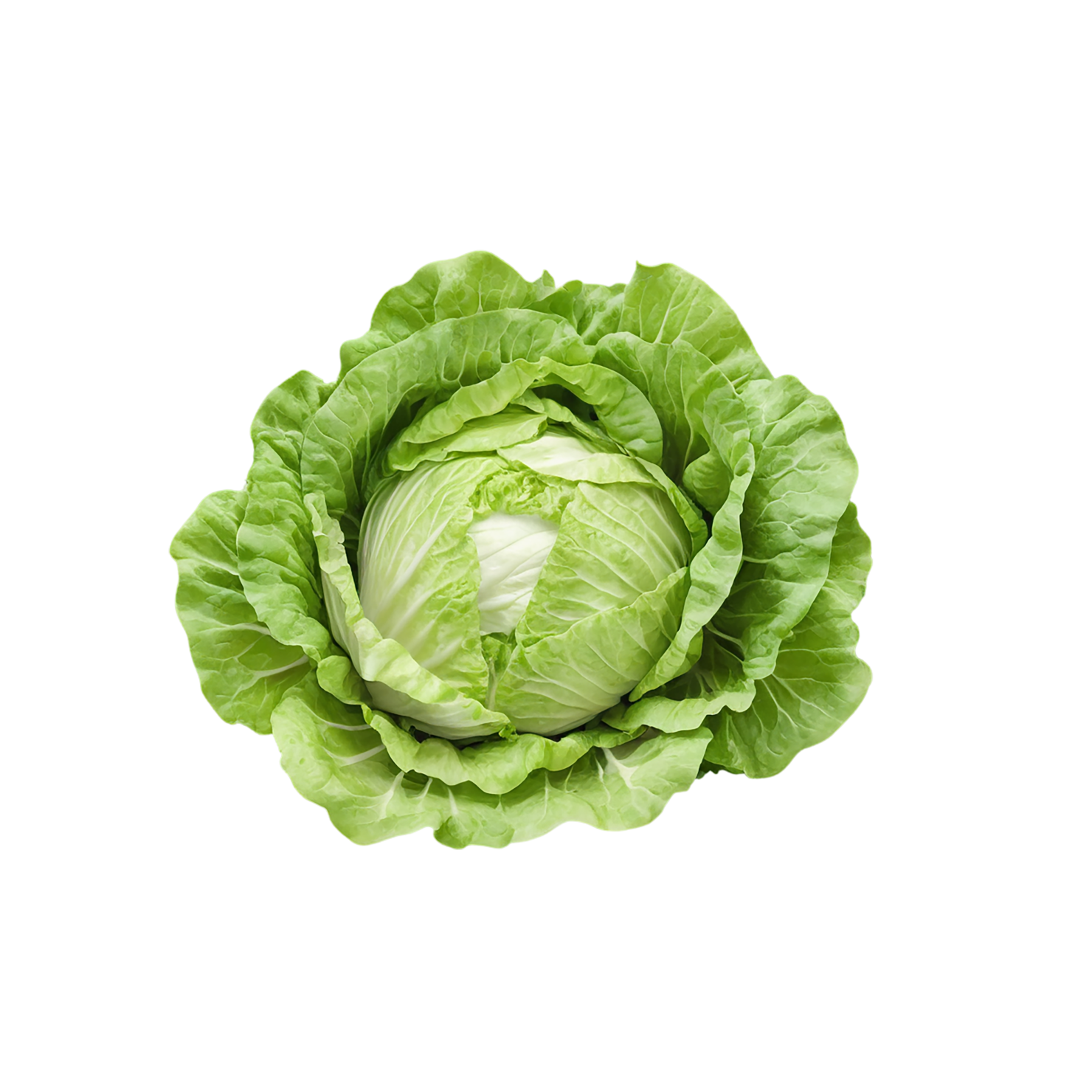 Lettuce vegetables isolated on transparent background #11668