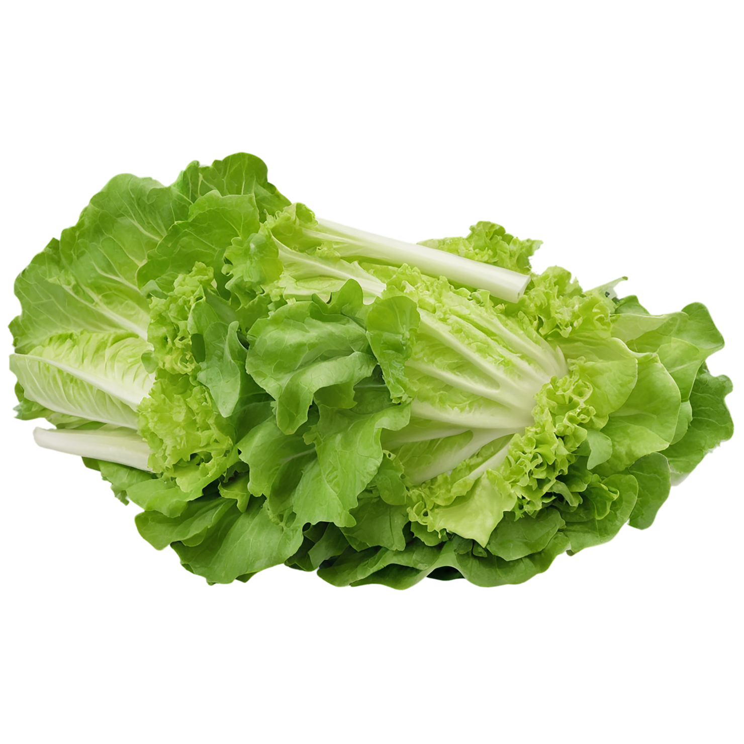 Lettuce vegetables isolated on transparent background #11690