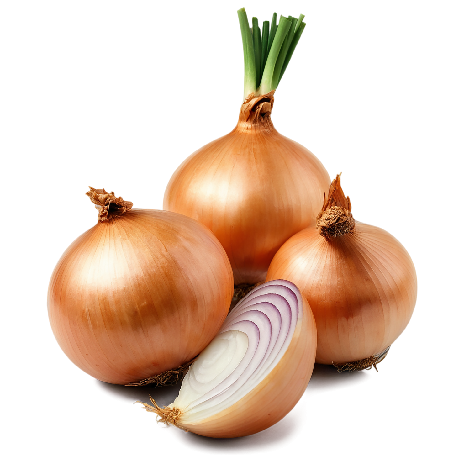 Onion vegetables isolated on transparent background #11724