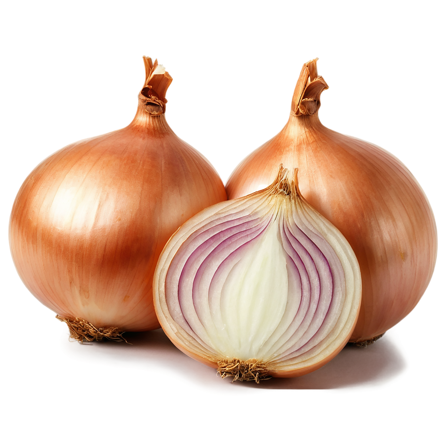 Onion vegetables isolated on transparent background #11736